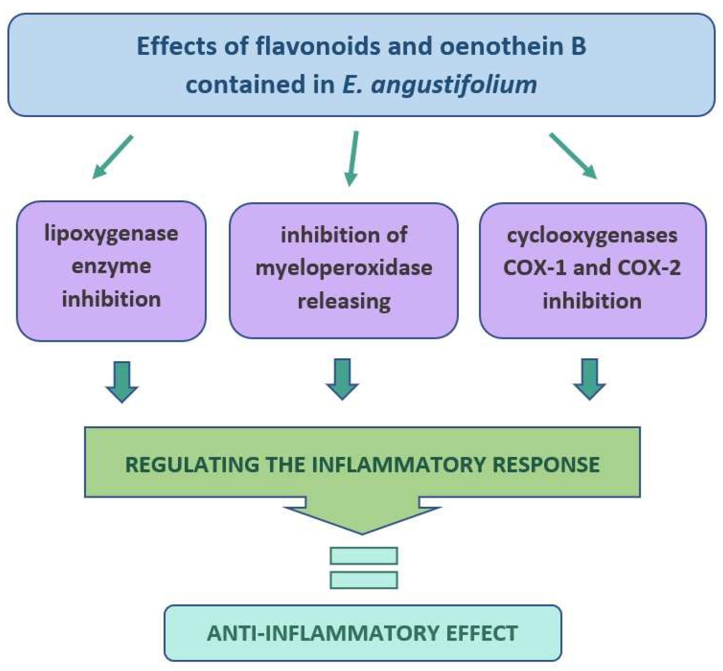Molecules 27 03536 g005