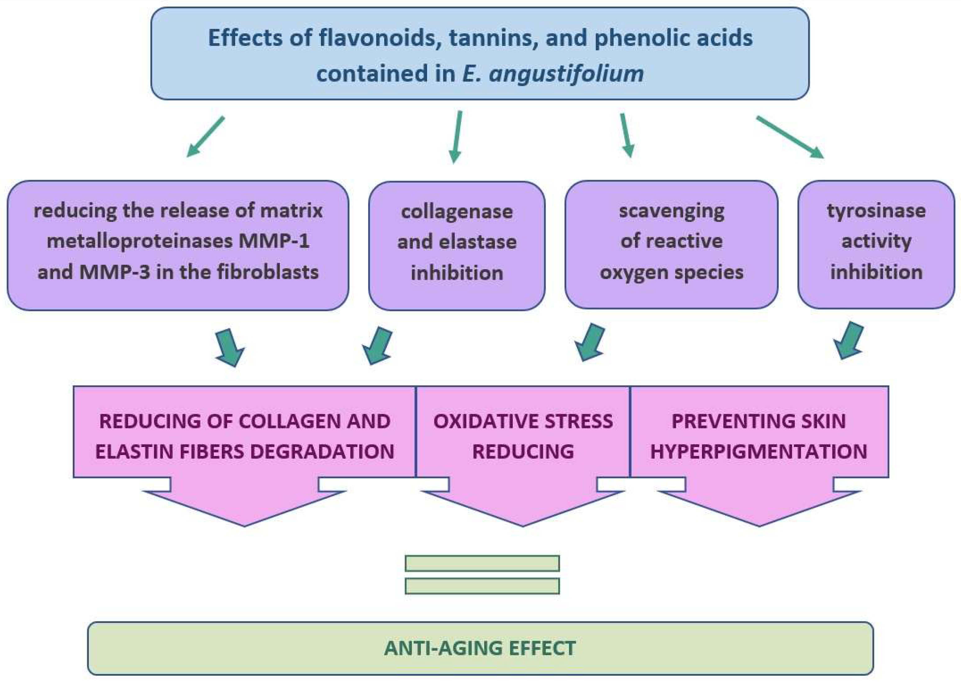 Molecules 27 03536 g006