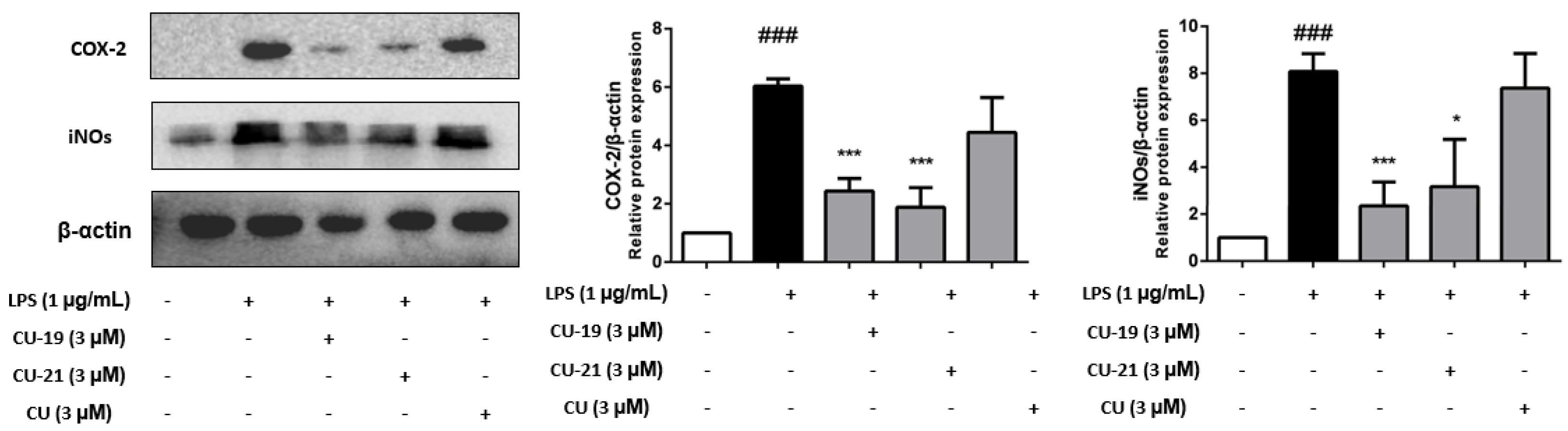 Molecules 27 03537 g004