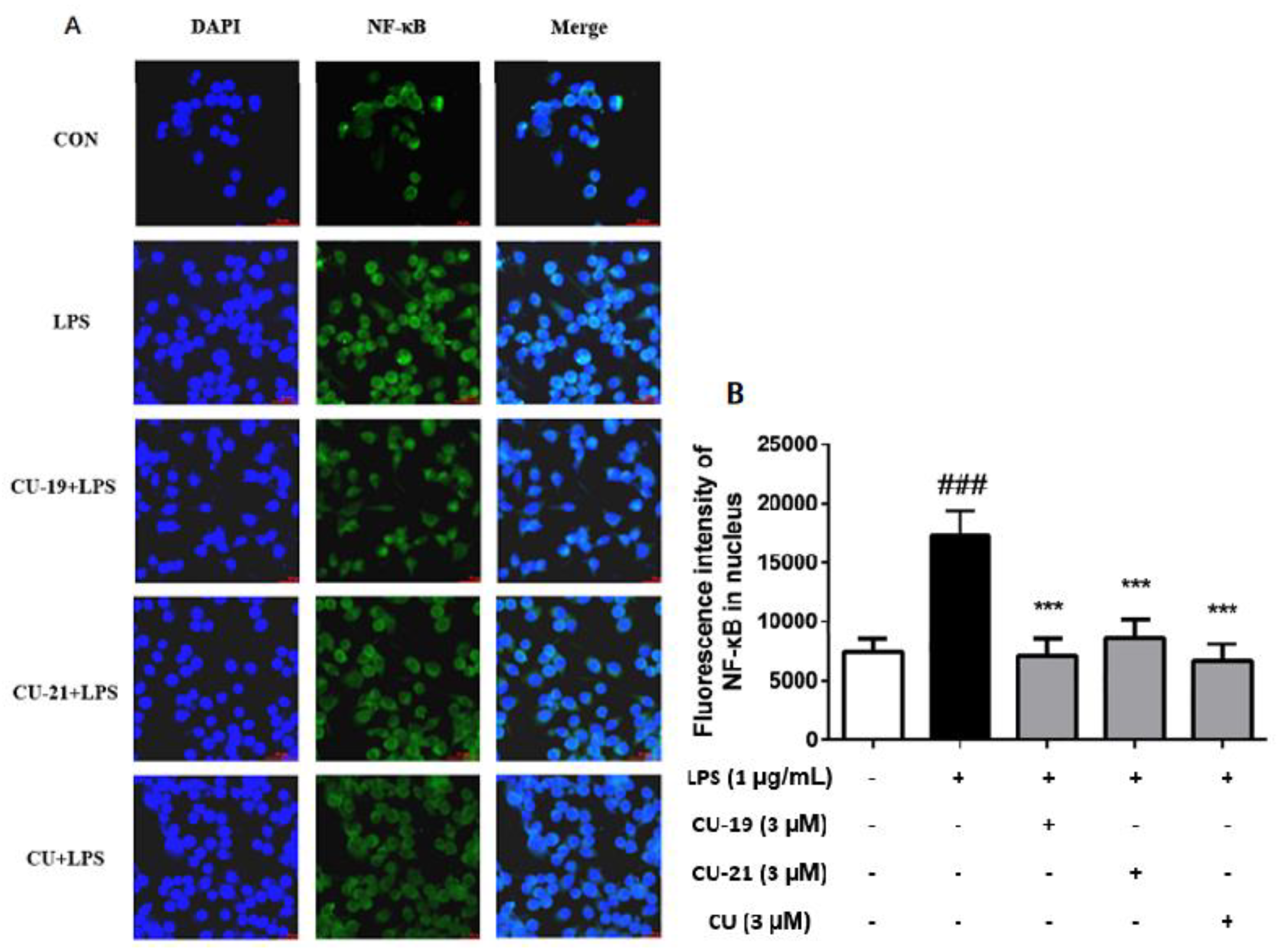 Molecules 27 03537 g005