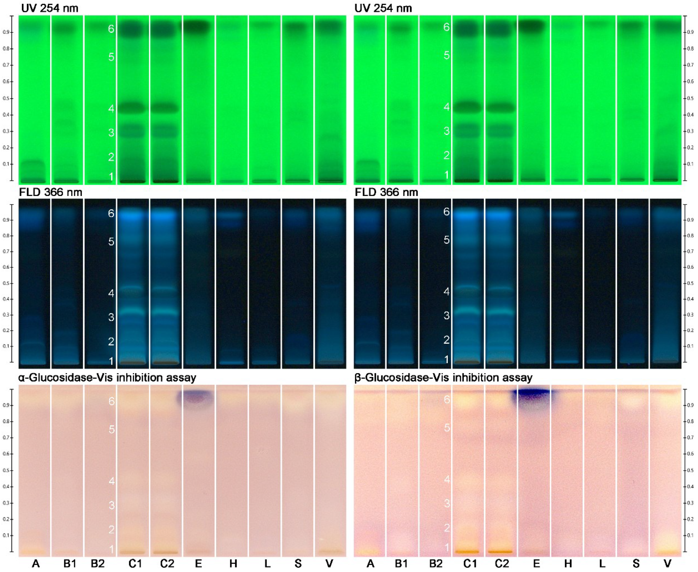 Molecules 27 03541 g001 550