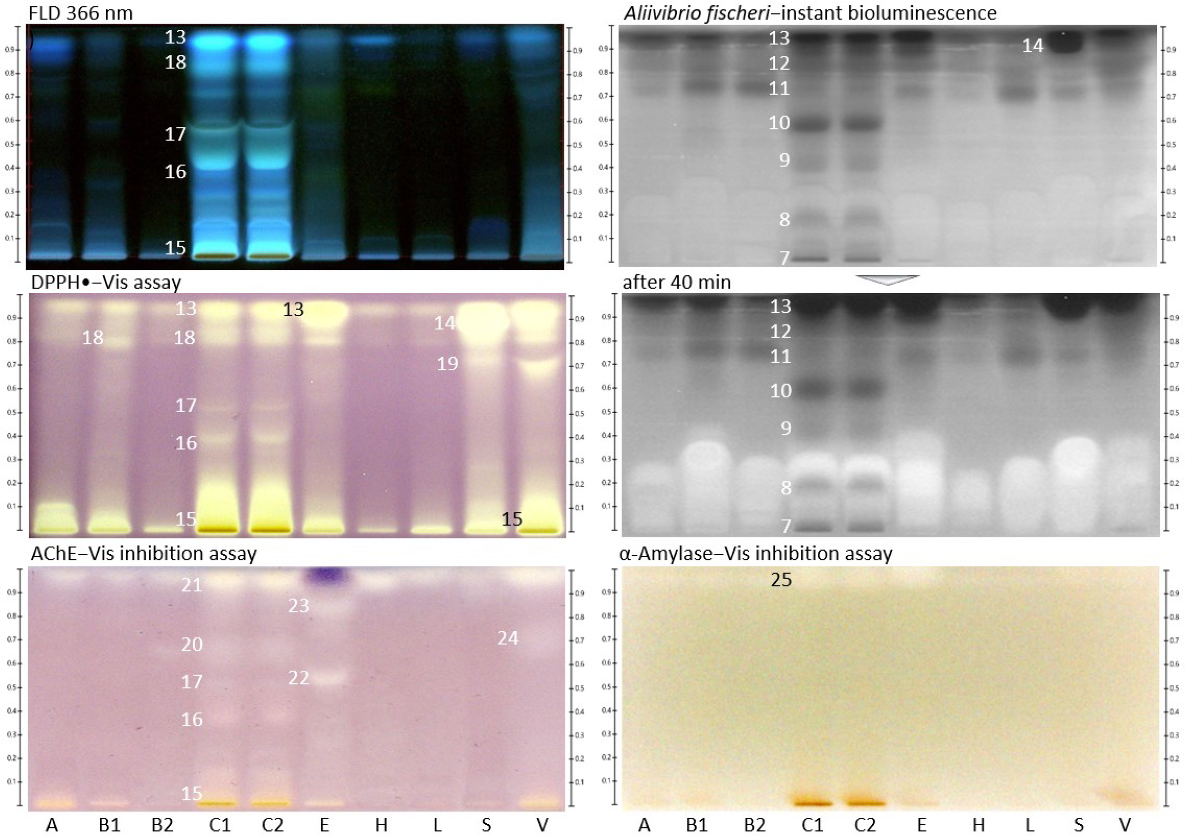 Molecules 27 03541 g002 550