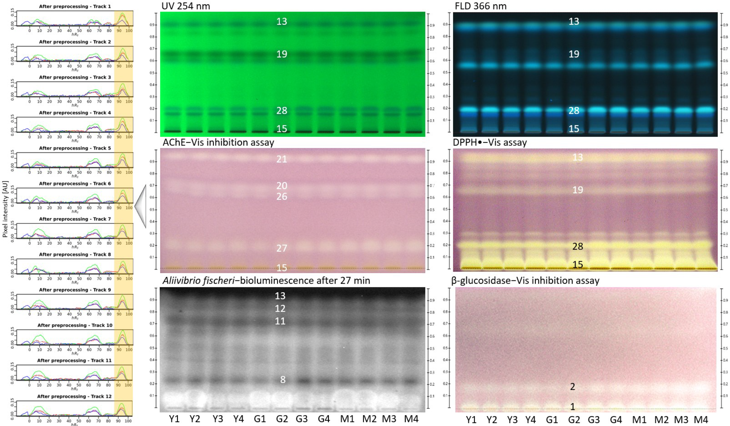 Molecules 27 03541 g003 550