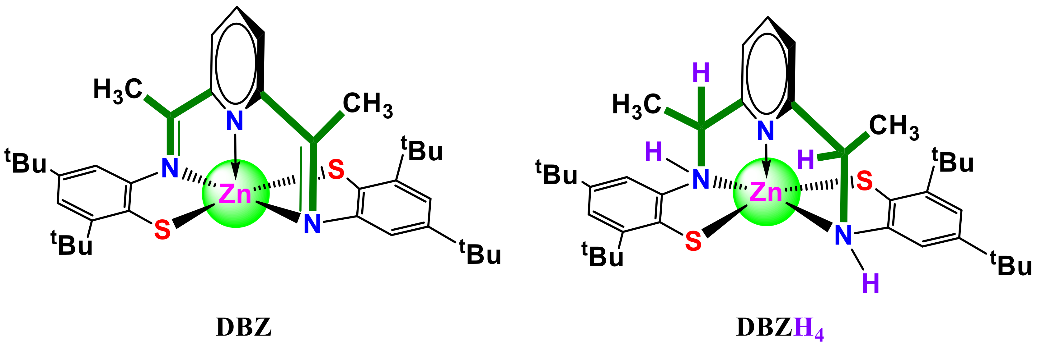 Molecules 27 03543 sch001 Molecules 27 03543 sch001