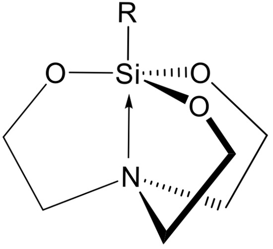 3-Aminopropylsilatrane and Its Derivatives: A Variety of