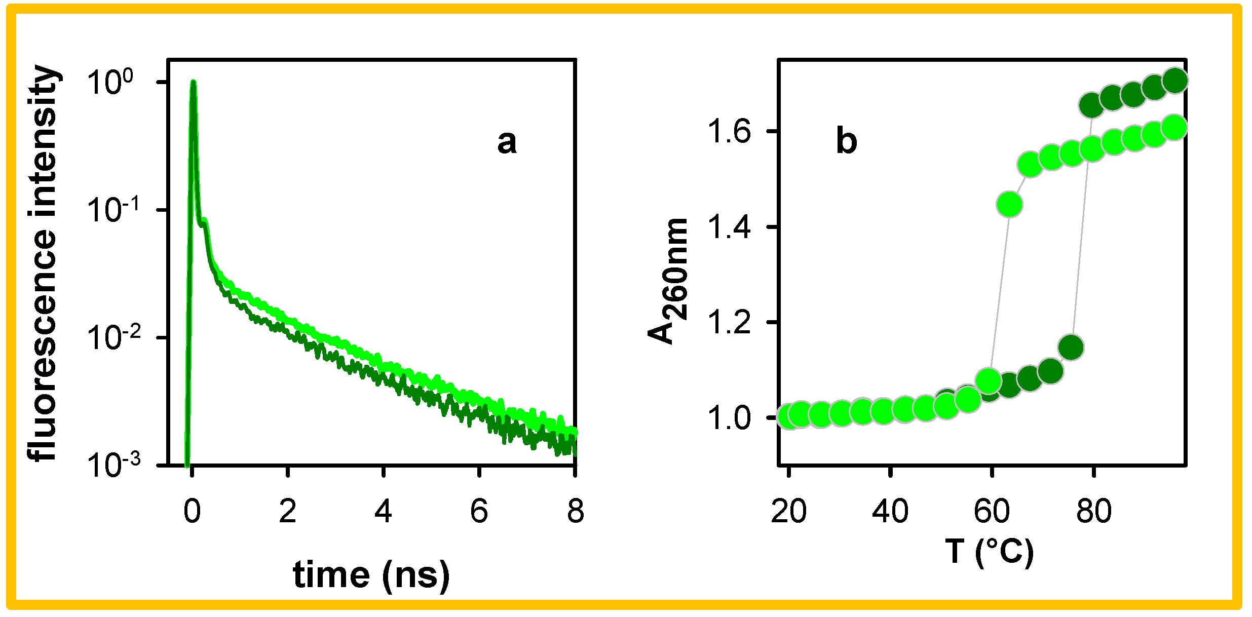 Molecules 27 03558 g006