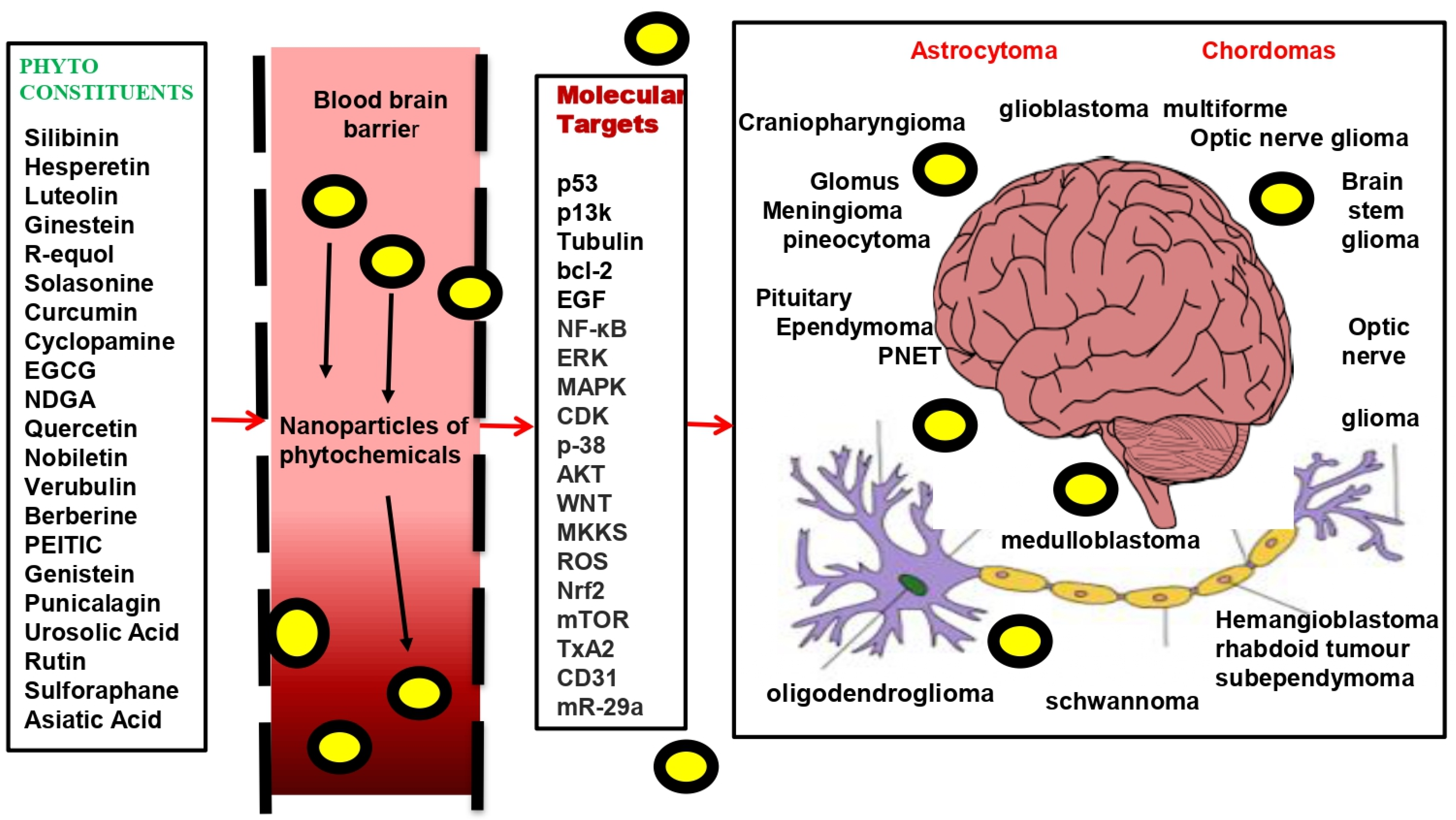 Molecules 27 03561 g001 Molecules 27 03561 g001
