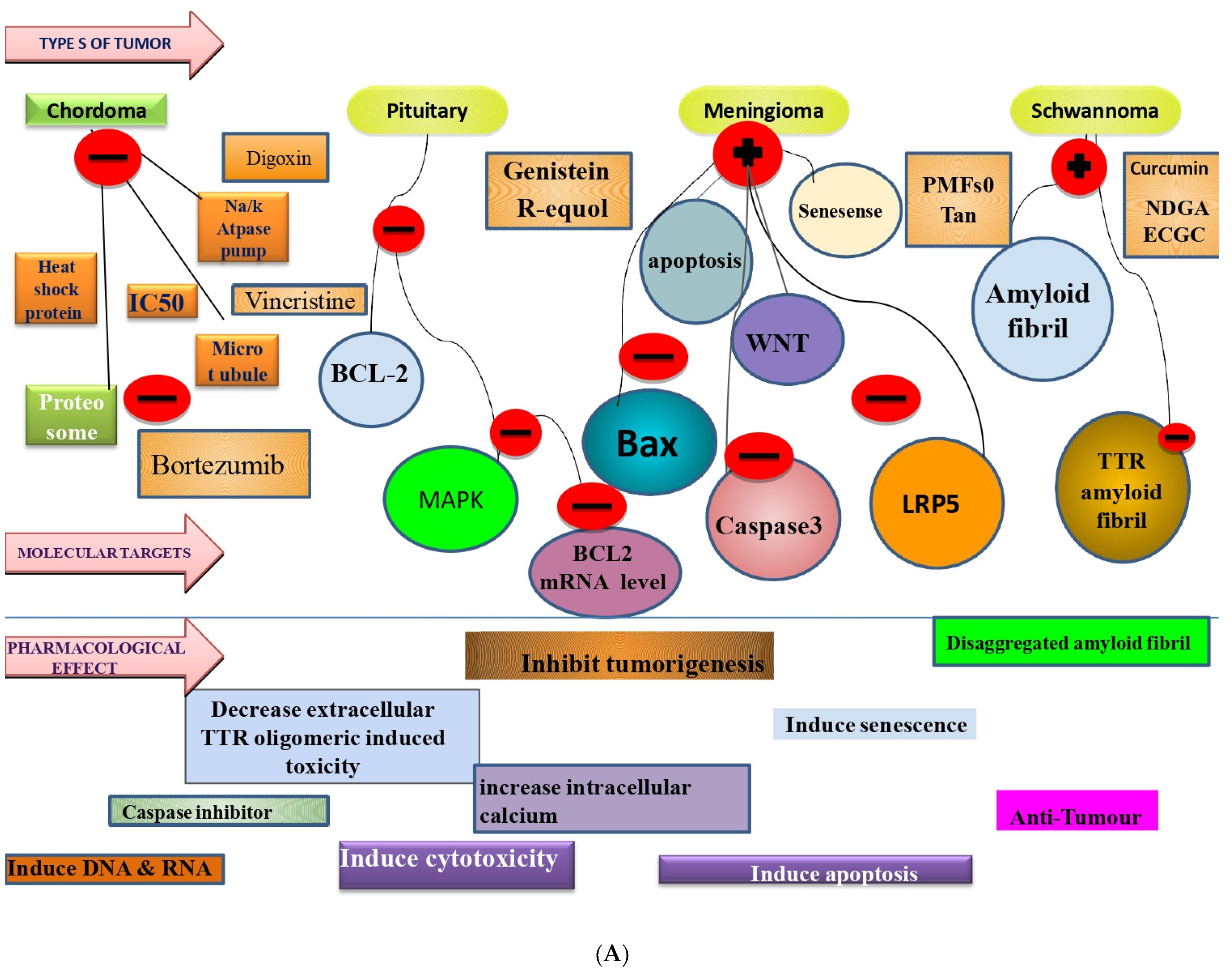 Molecules 27 03561 g002a Molecules 27 03561 g002a