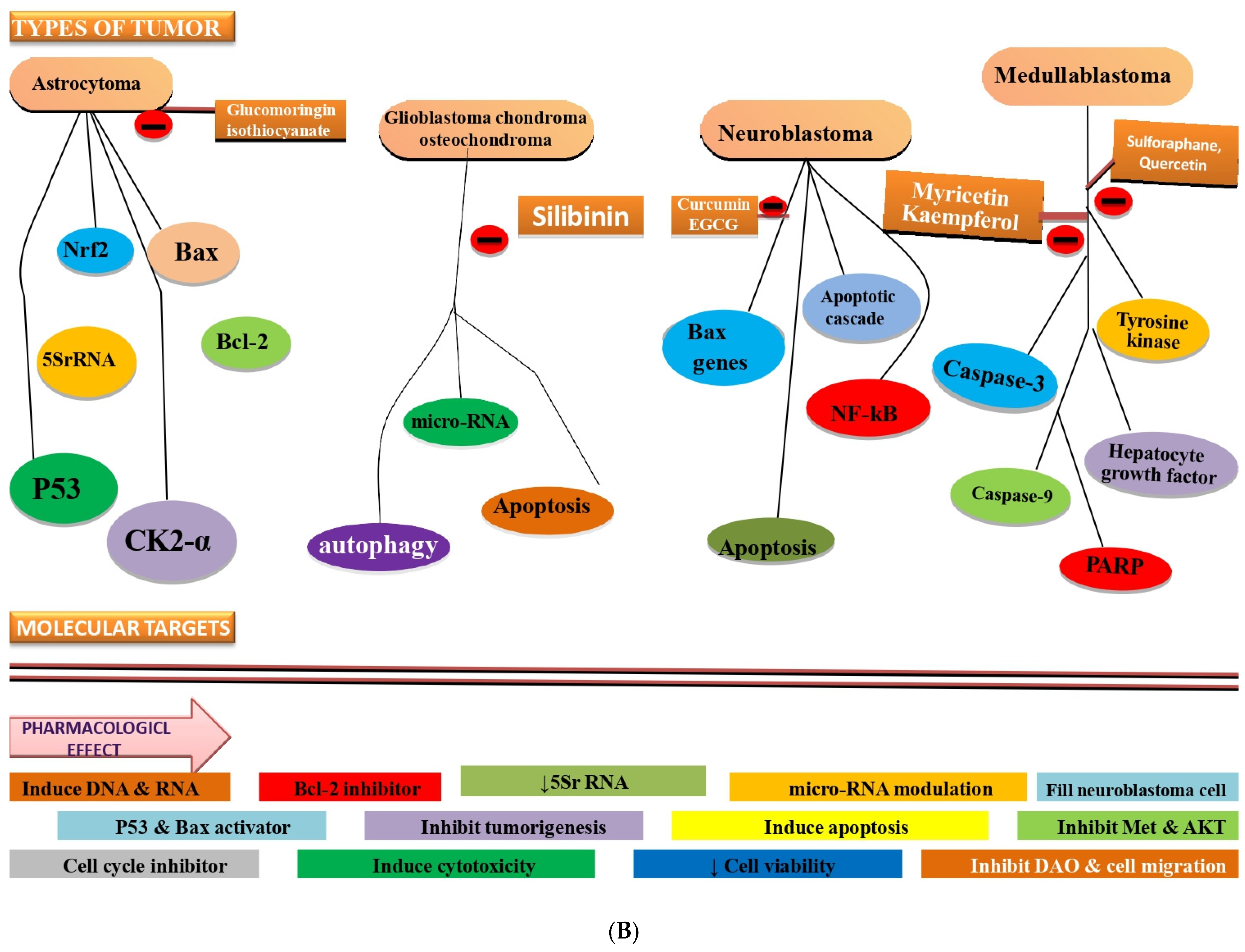 Molecules 27 03561 g002b Molecules 27 03561 g002b