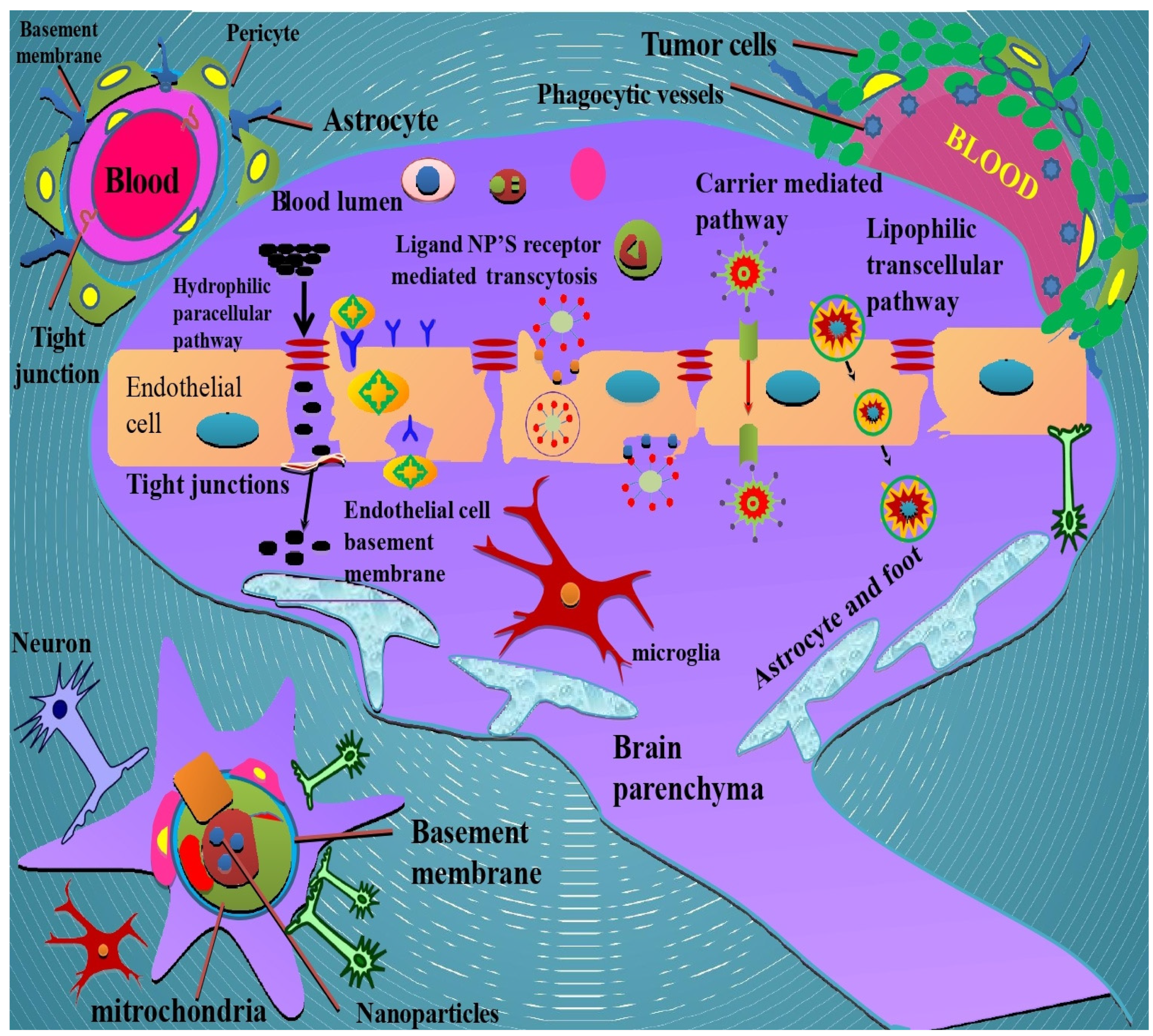 Molecules 27 03561 g003 Molecules 27 03561 g003