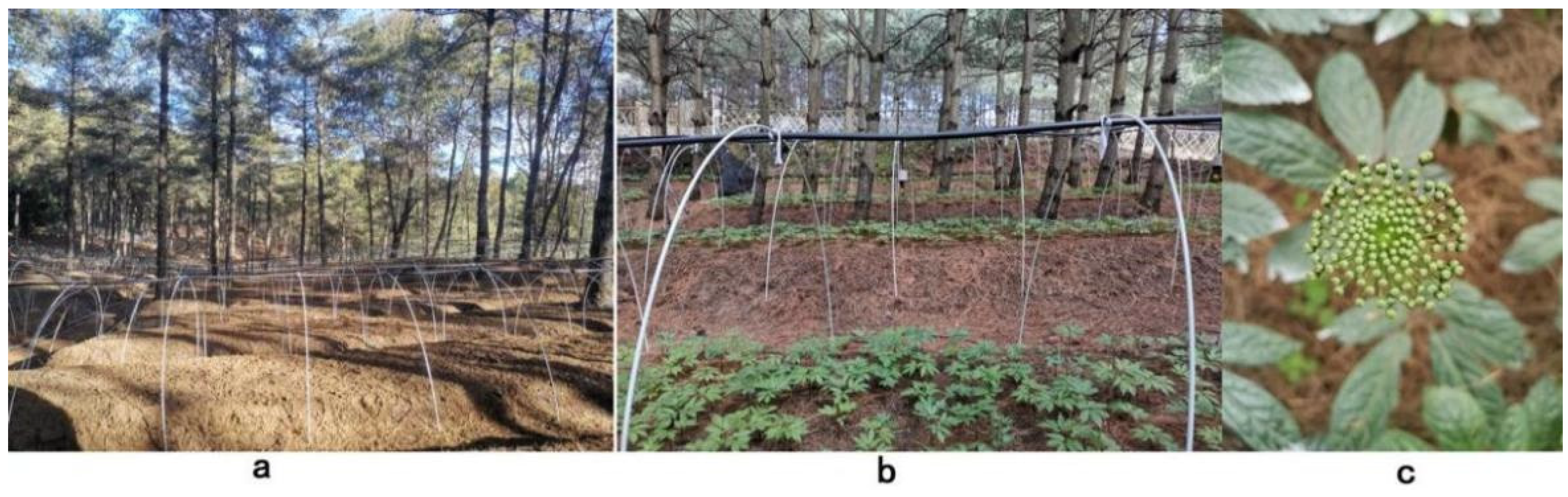 Molecules 27 03565 g004 550