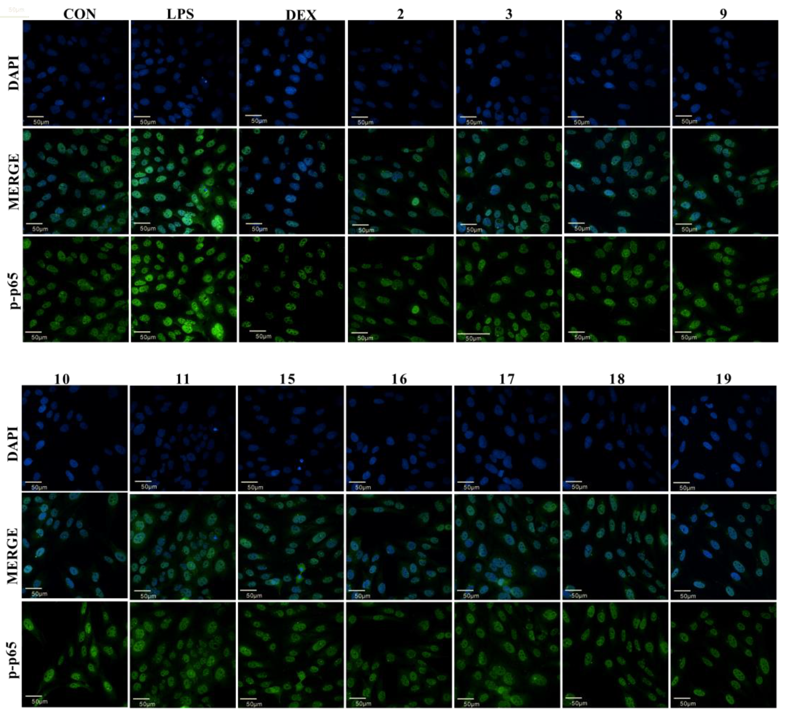 Molecules 27 03573 g003