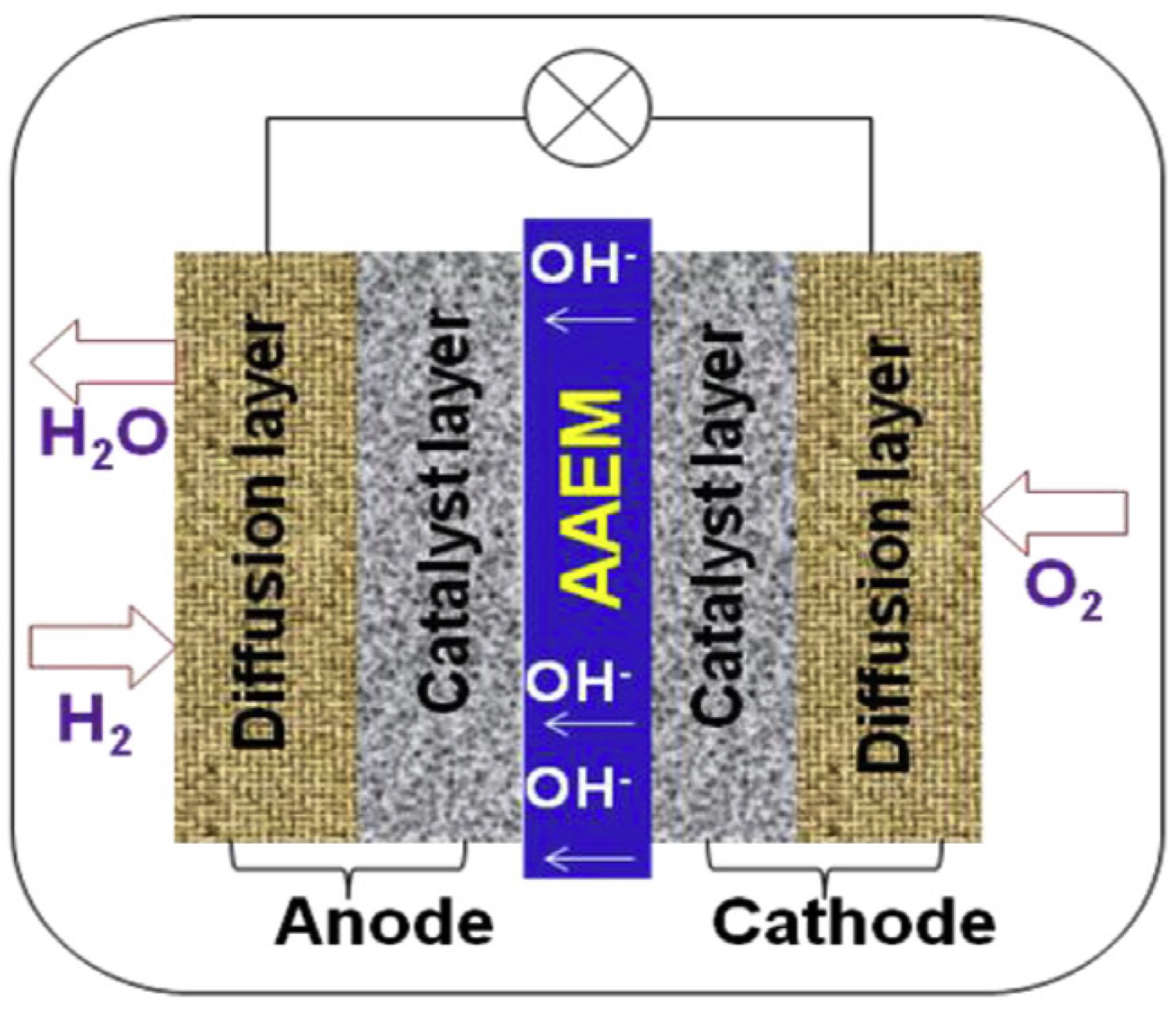 Molecules 27 03574 g001 Molecules 27 03574 g001