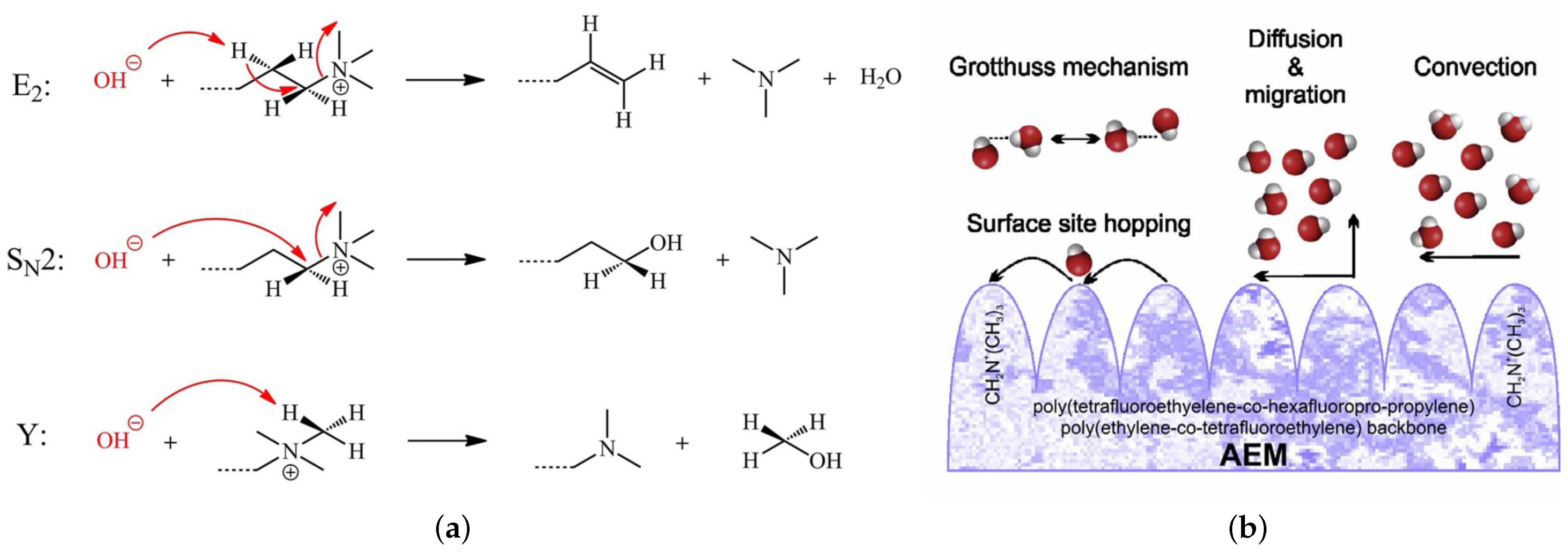 Molecules 27 03574 g002 Molecules 27 03574 g002