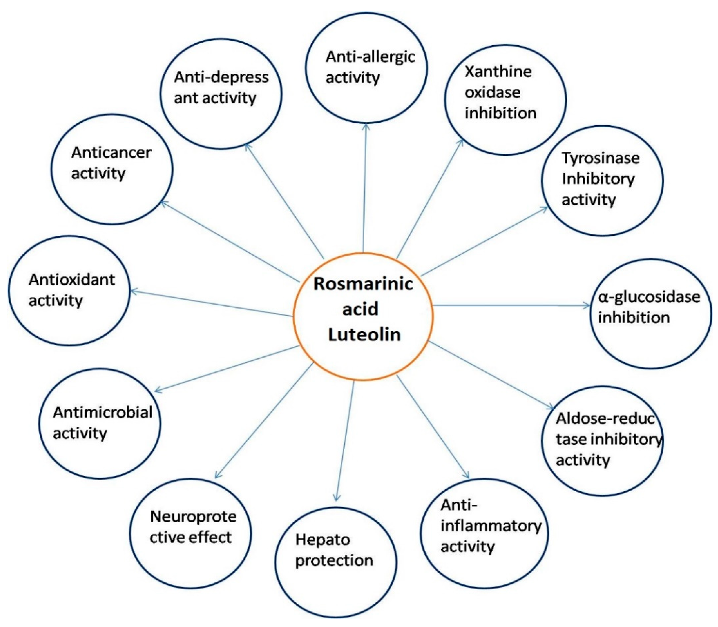 Molecules 27 03578 g005 Molecules 27 03578 g005