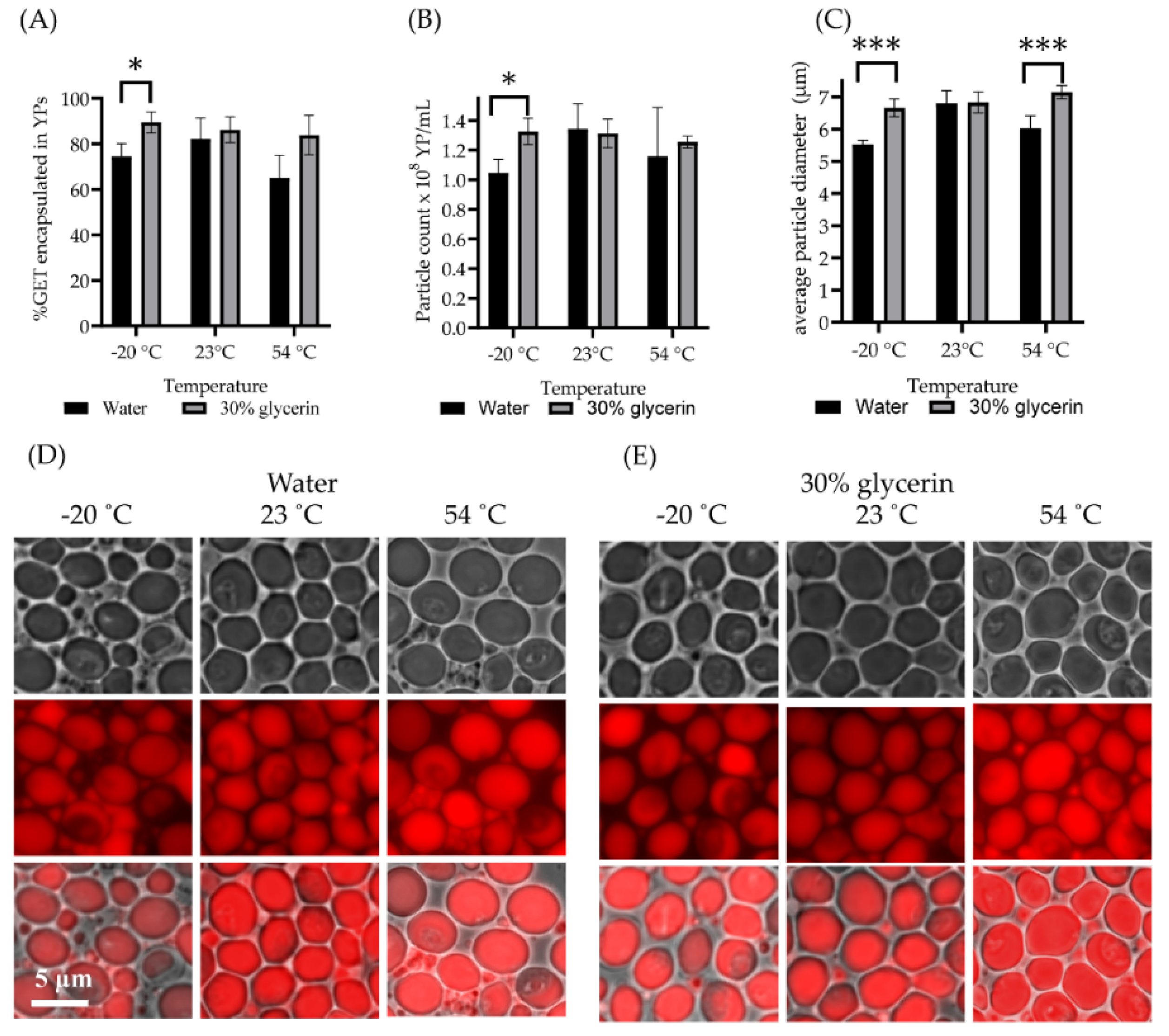 Molecules 27 03580 g006