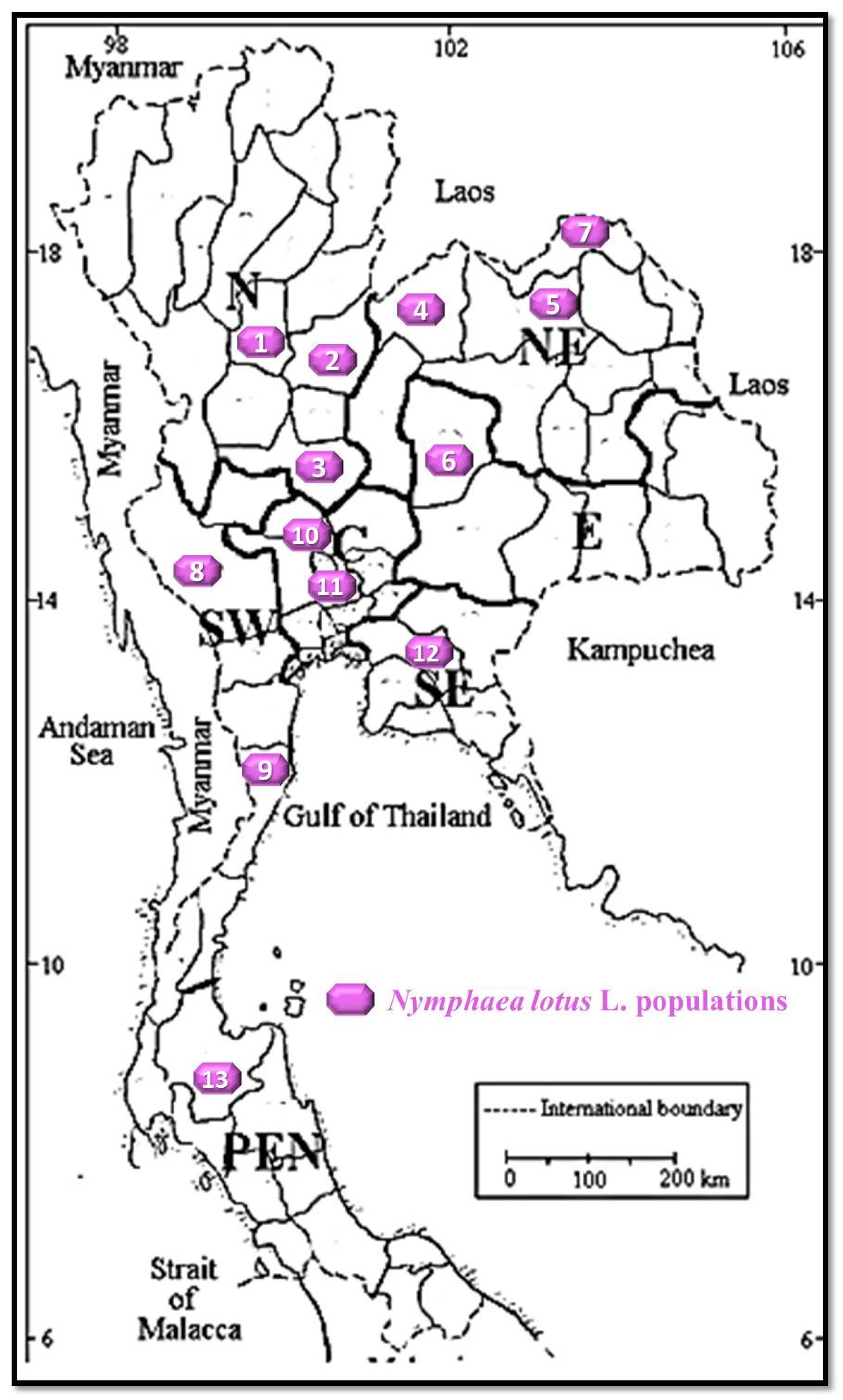 Molecules 27 03590 g001
