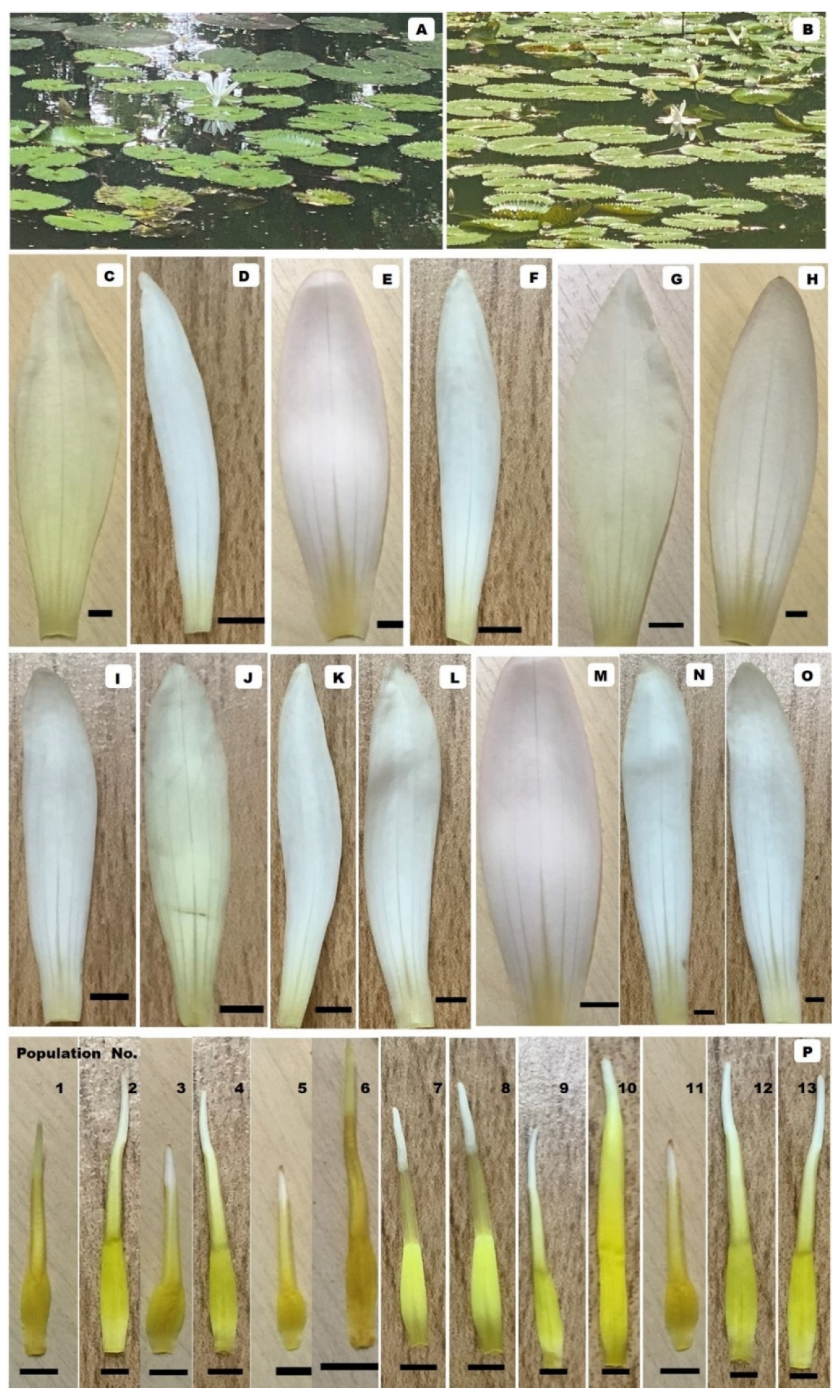 Molecules 27 03590 g002