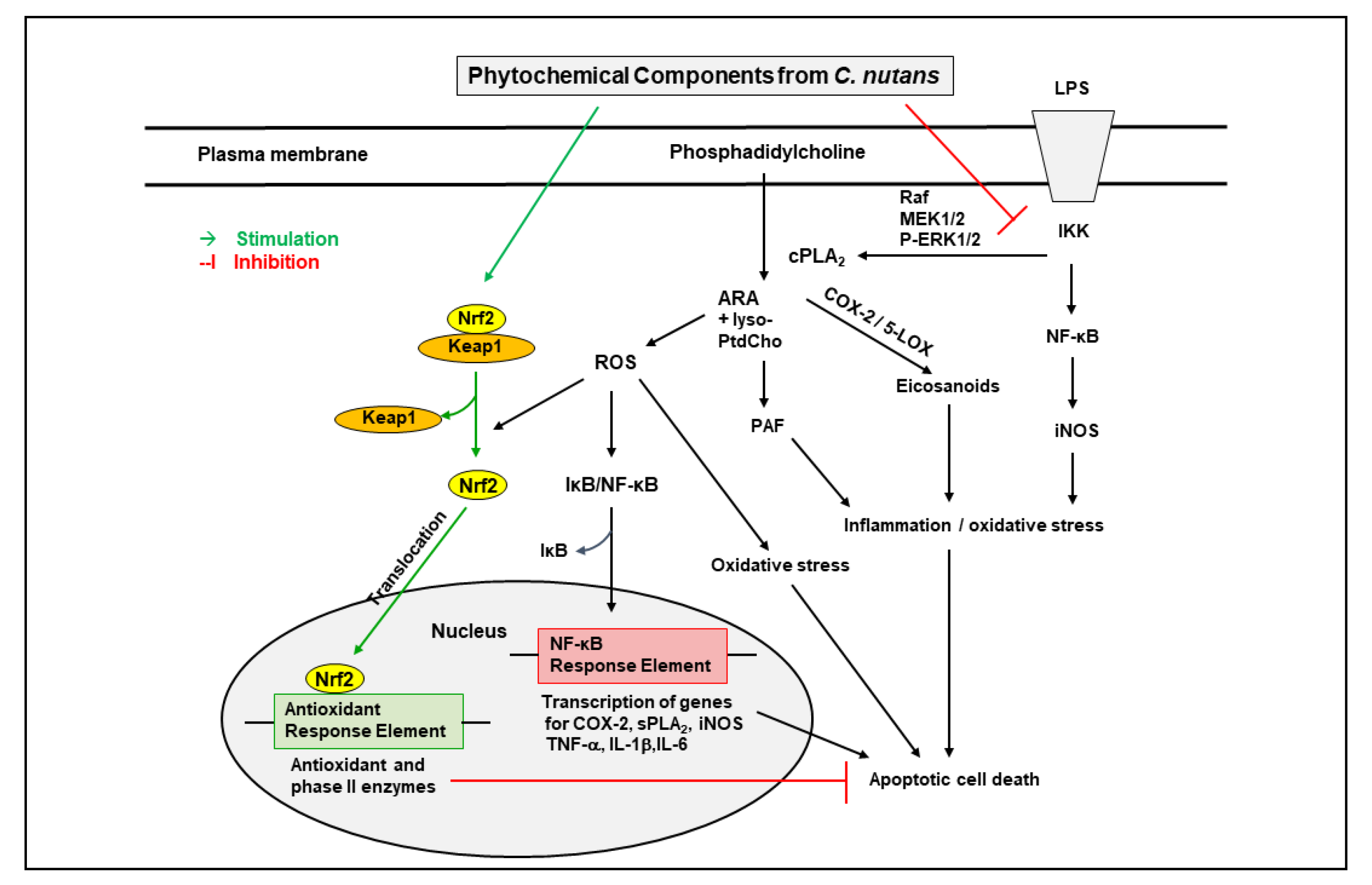 Molecules 27 03607 g002 Molecules 27 03607 g002