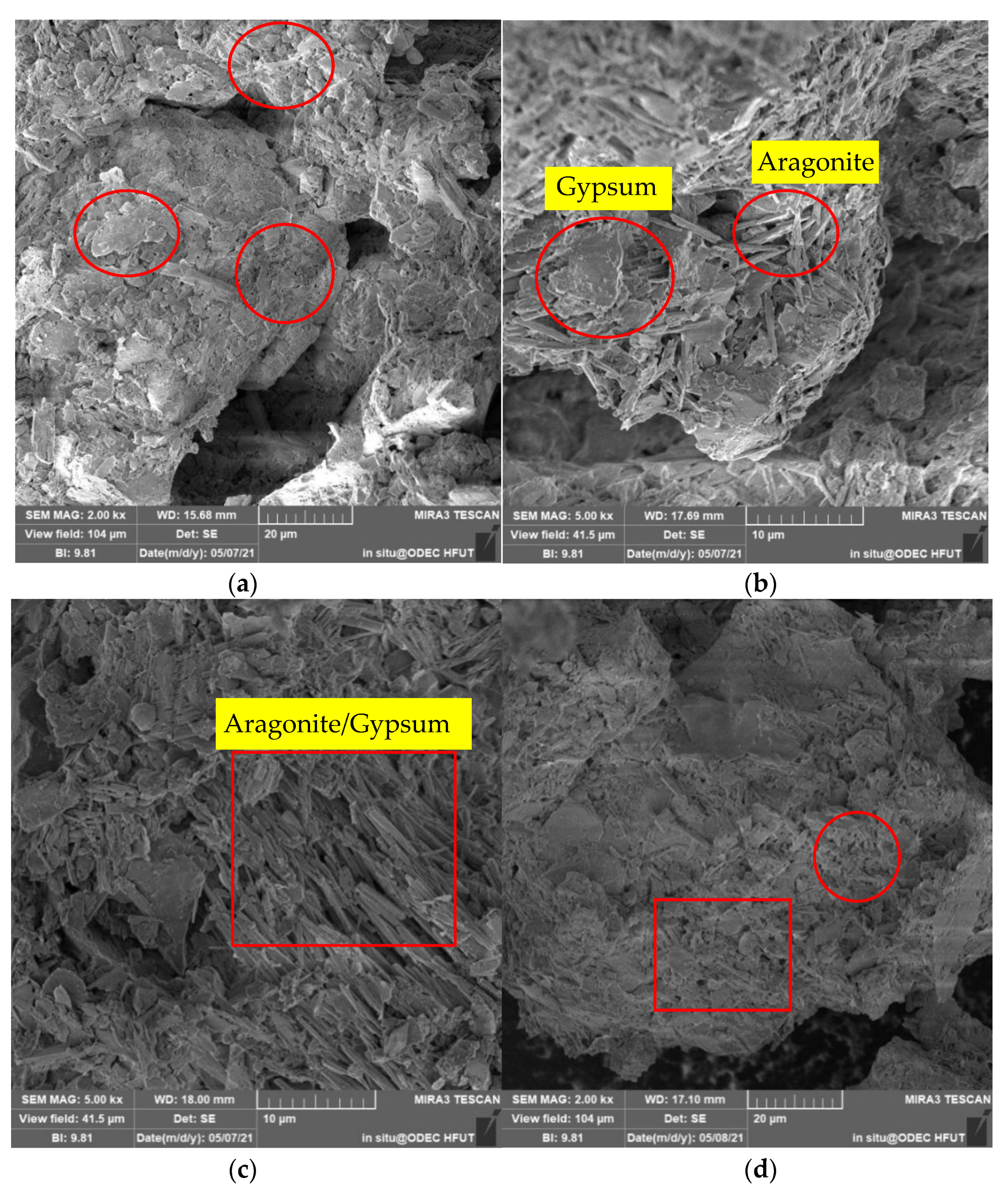 Molecules 27 03608 g011a 550