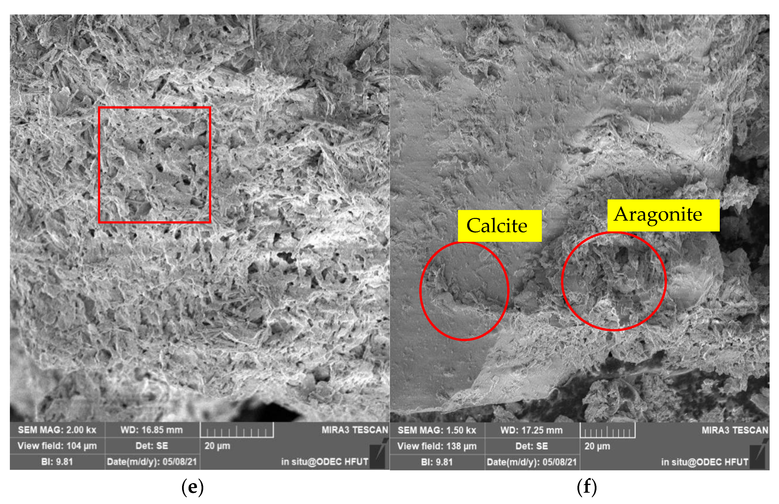 Molecules 27 03608 g011b 550