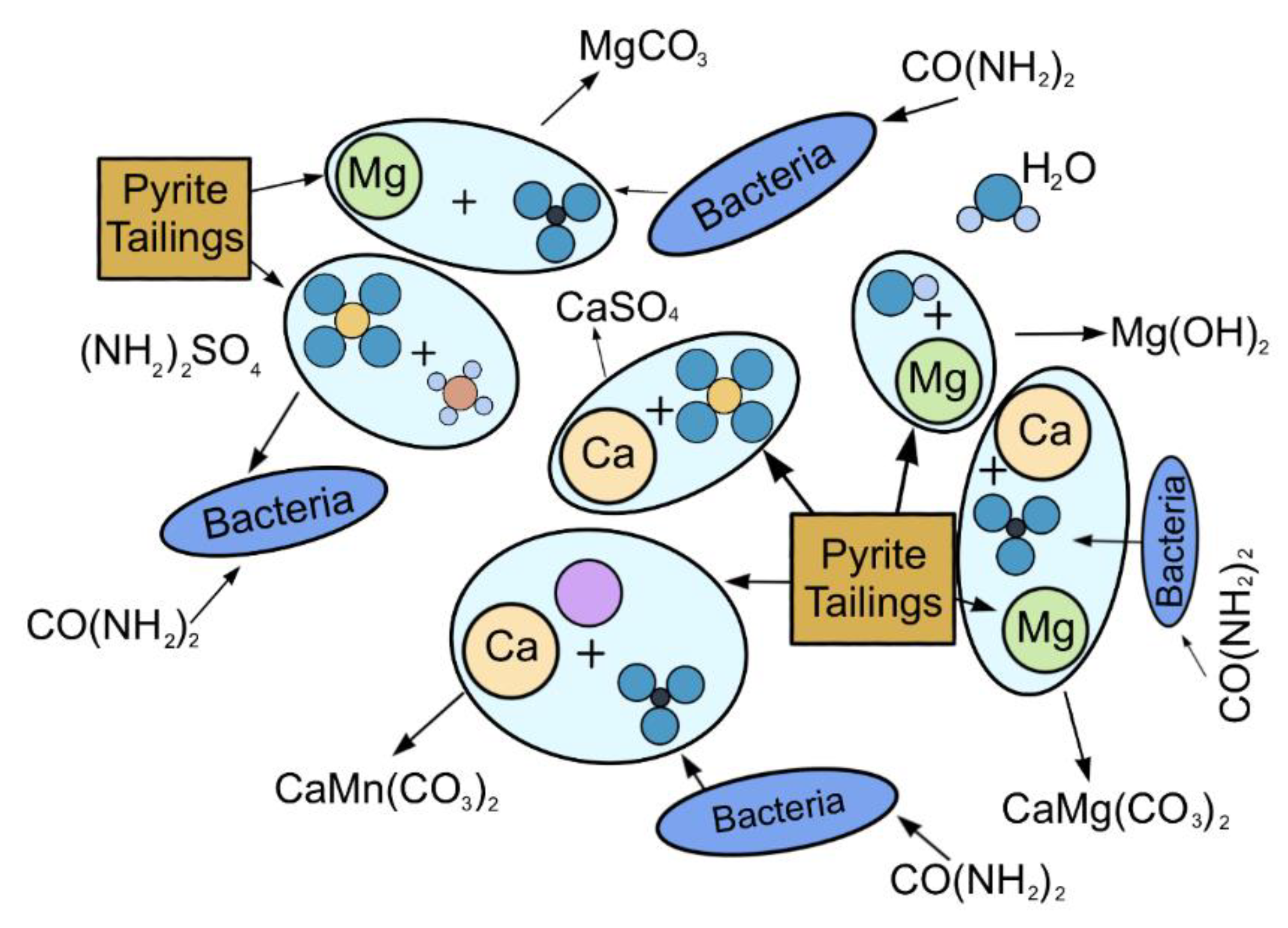 Molecules 27 03608 g012 550