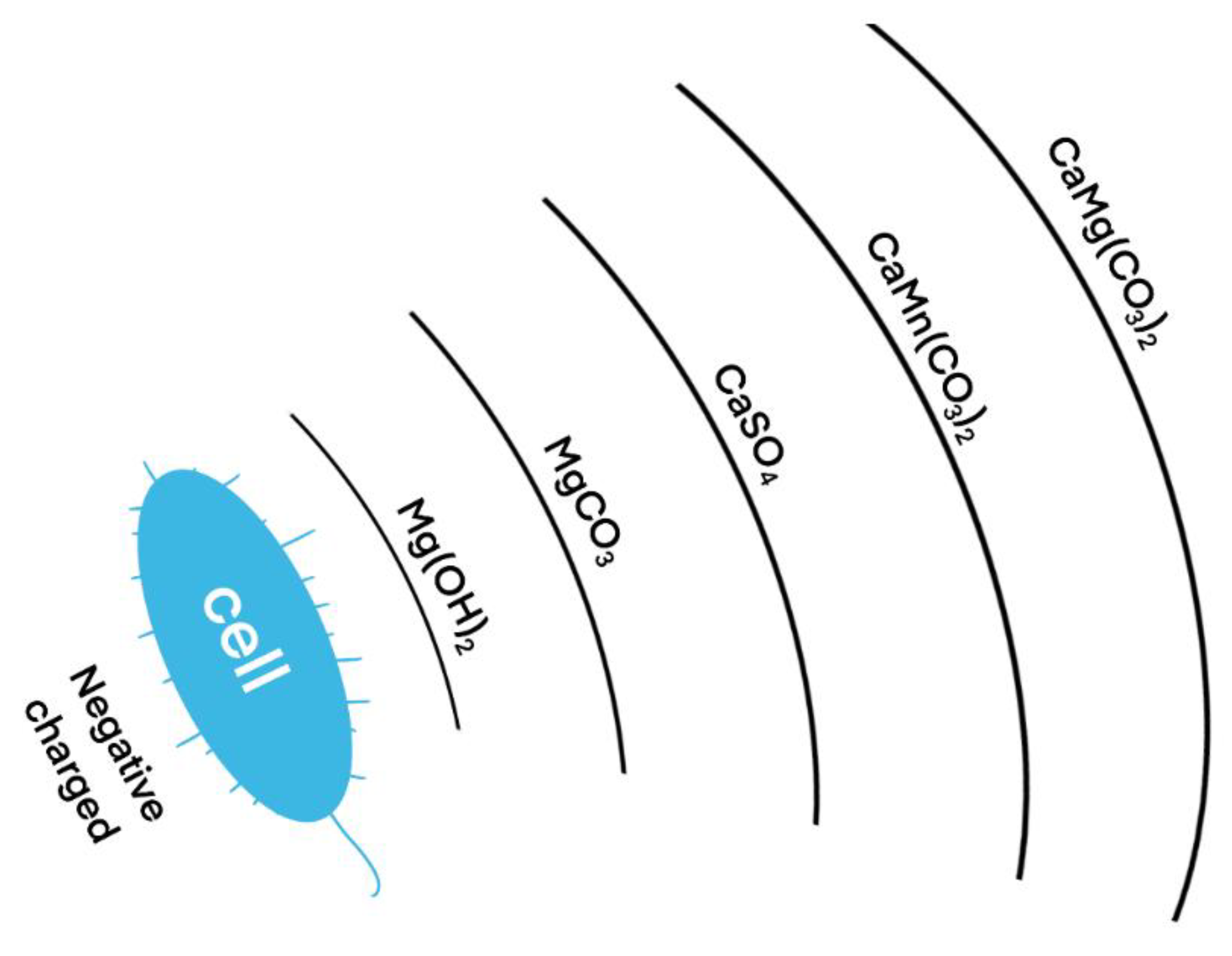 Molecules 27 03608 g013 550