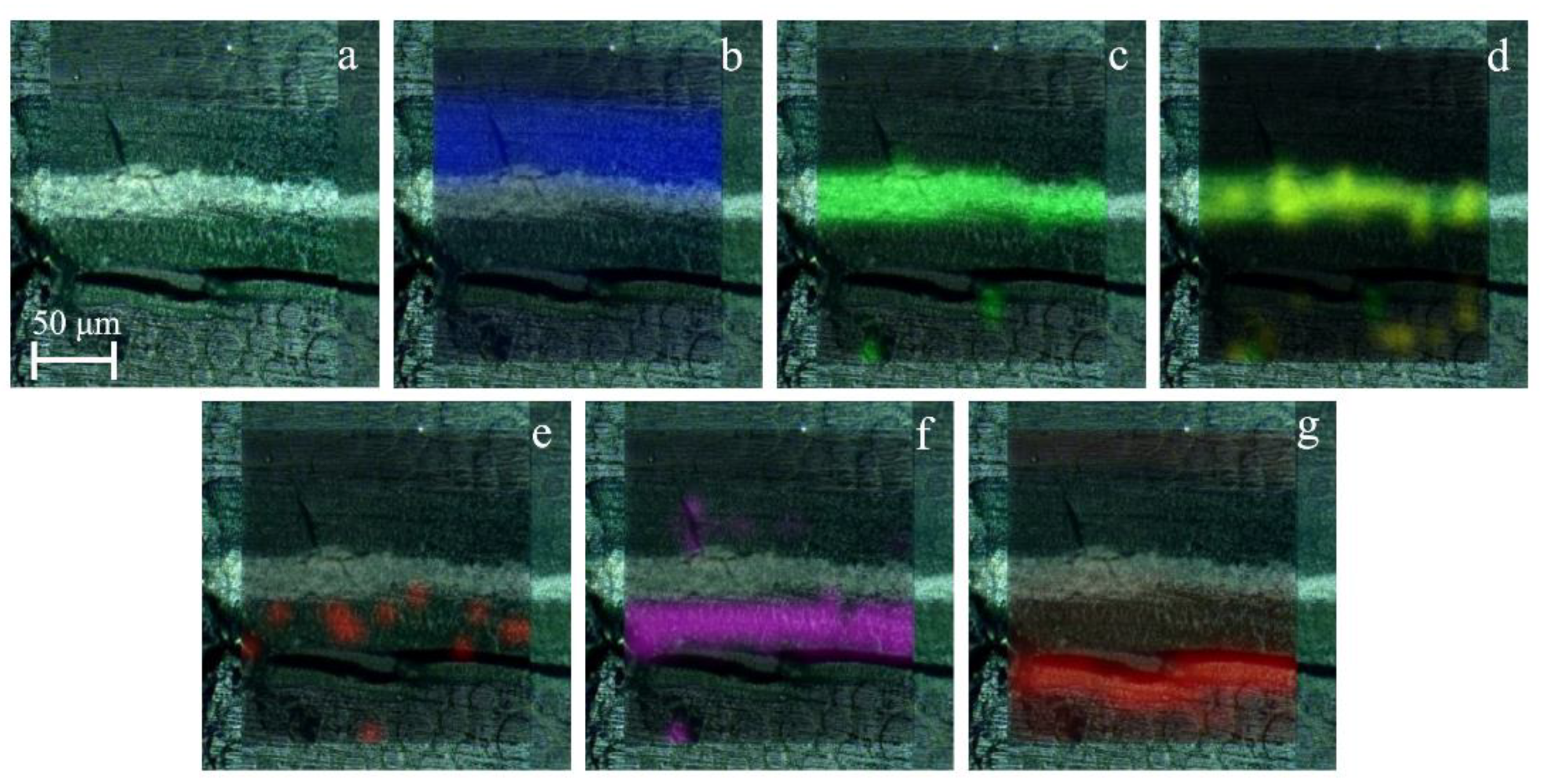 Molecules 27 03609 g003