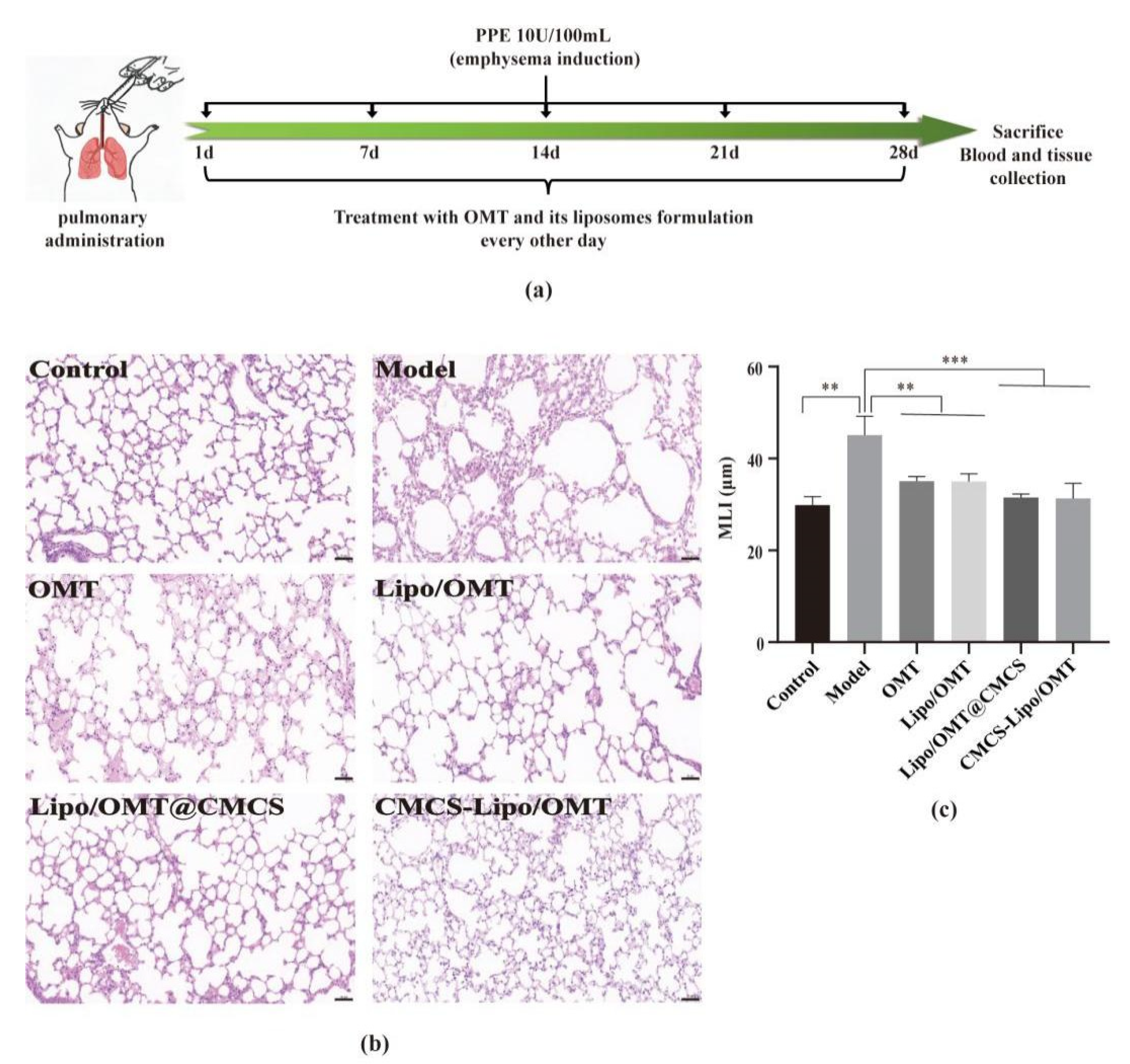Molecules 27 03610 g003 550