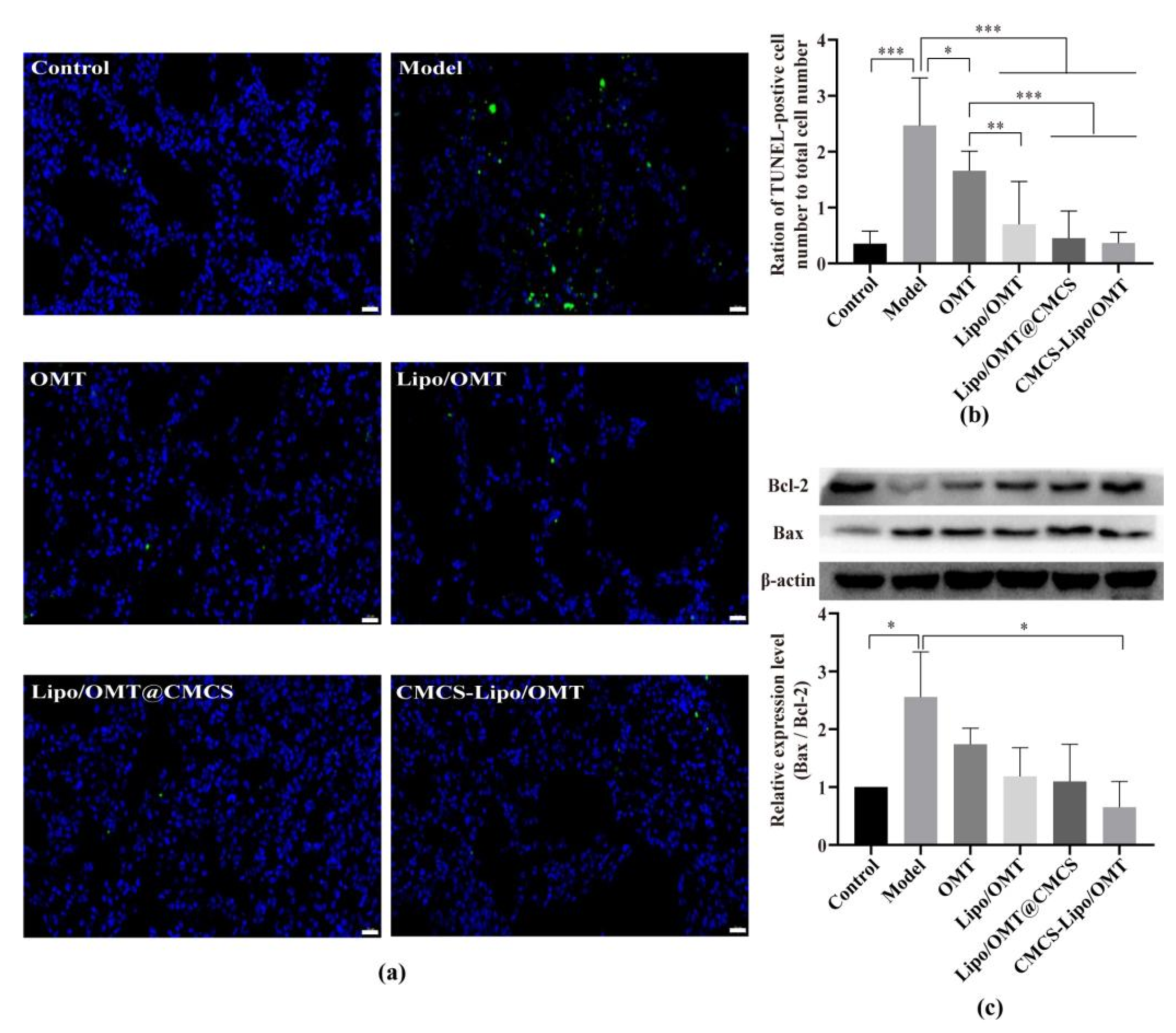 Molecules 27 03610 g004 550