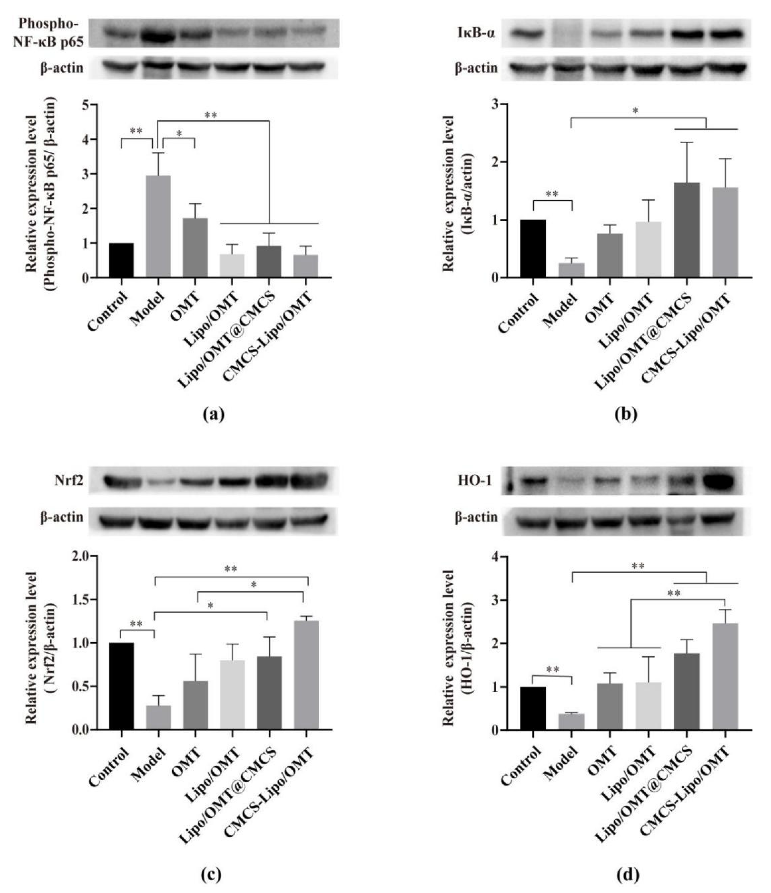Molecules 27 03610 g006 550