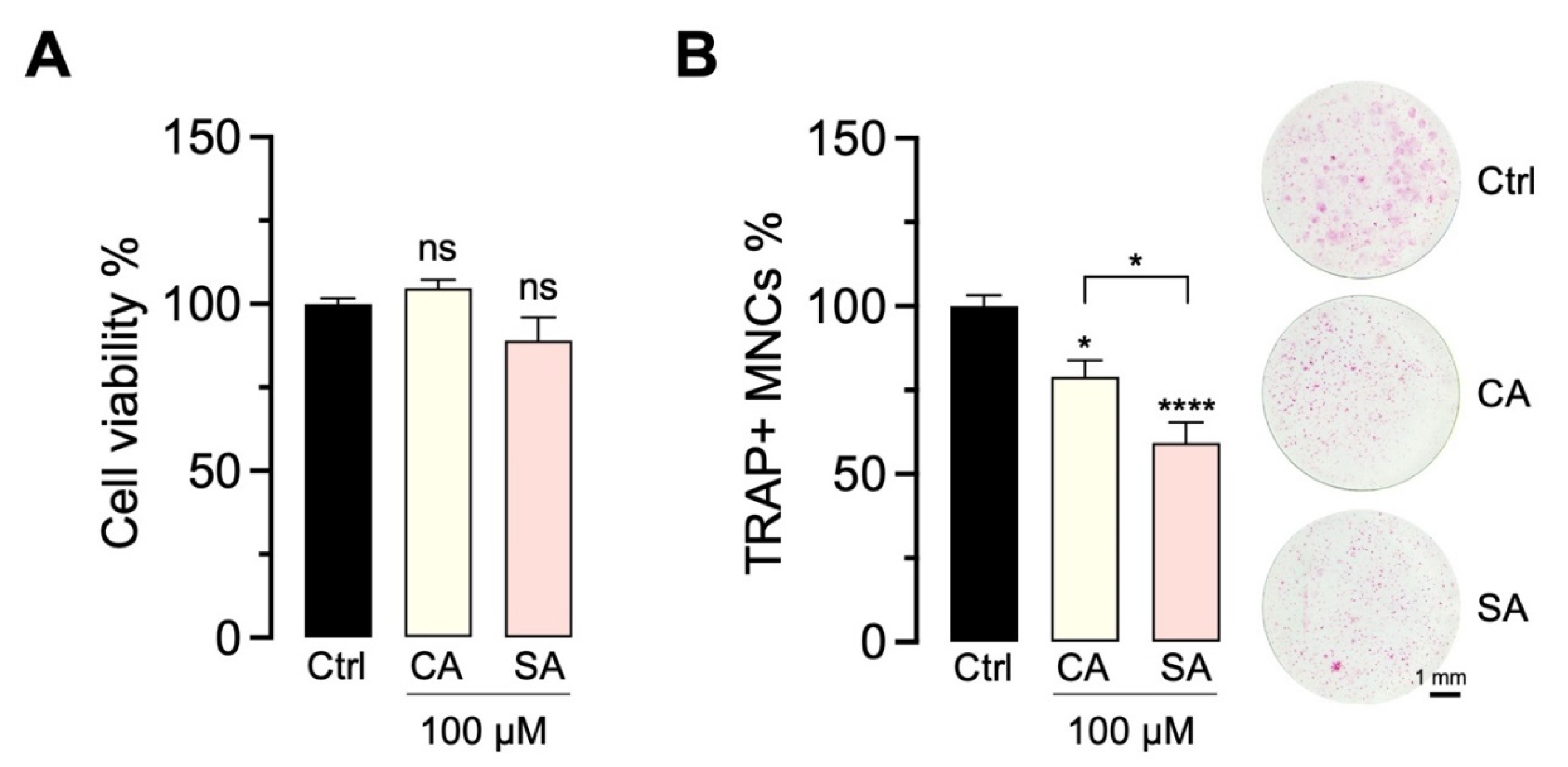 Molecules 27 03611 g007 550