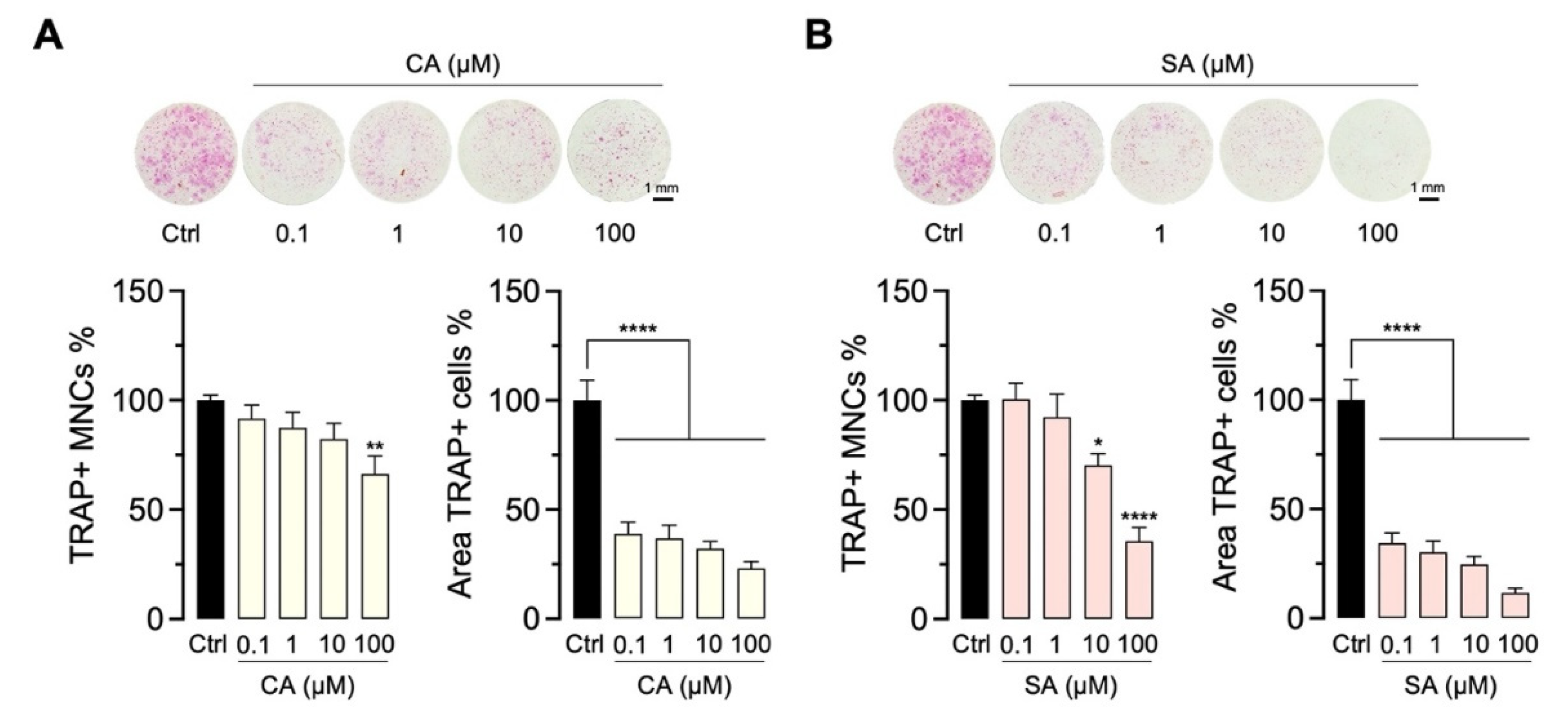 Molecules 27 03611 g008 550