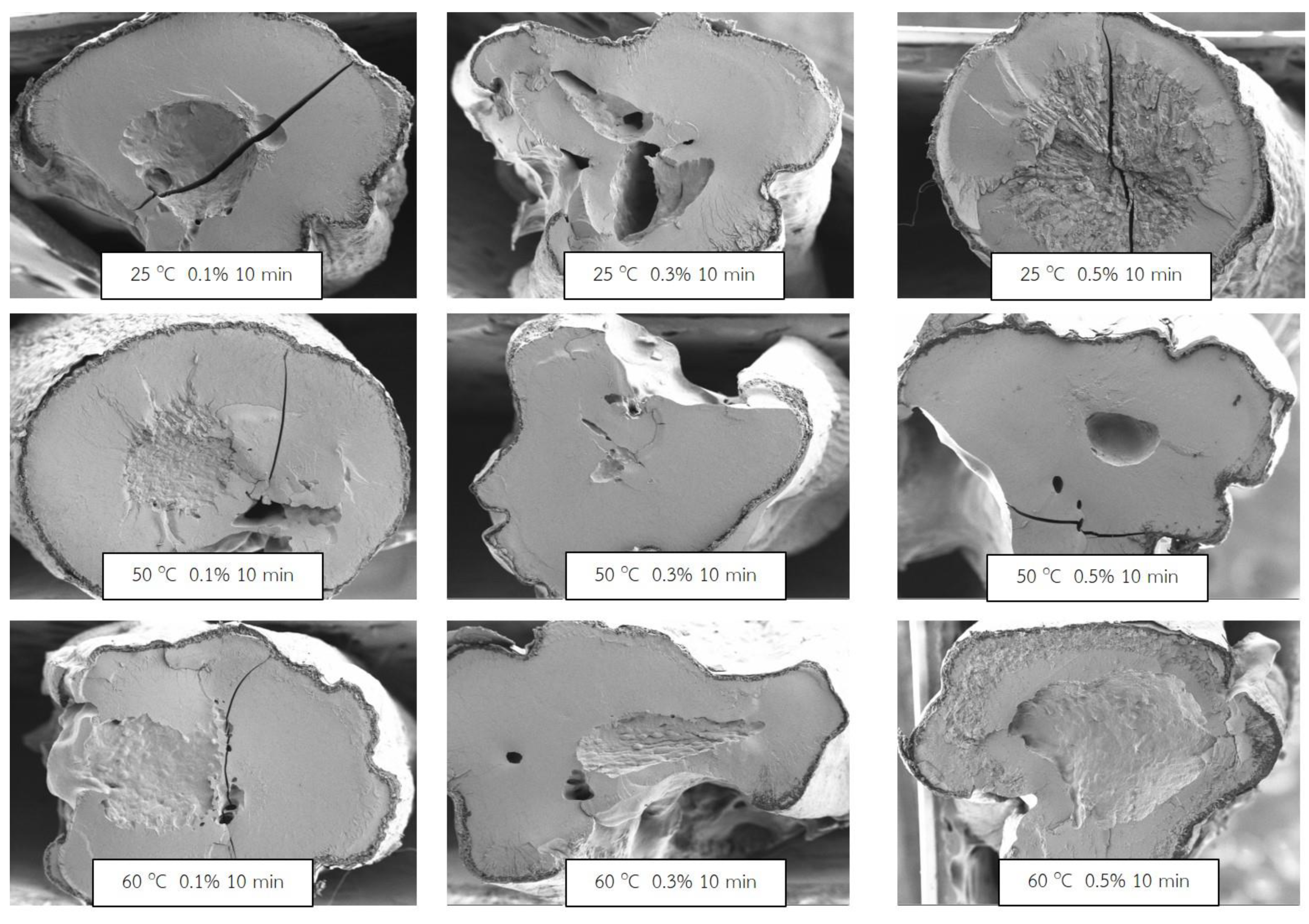 Molecules 27 03615 g002