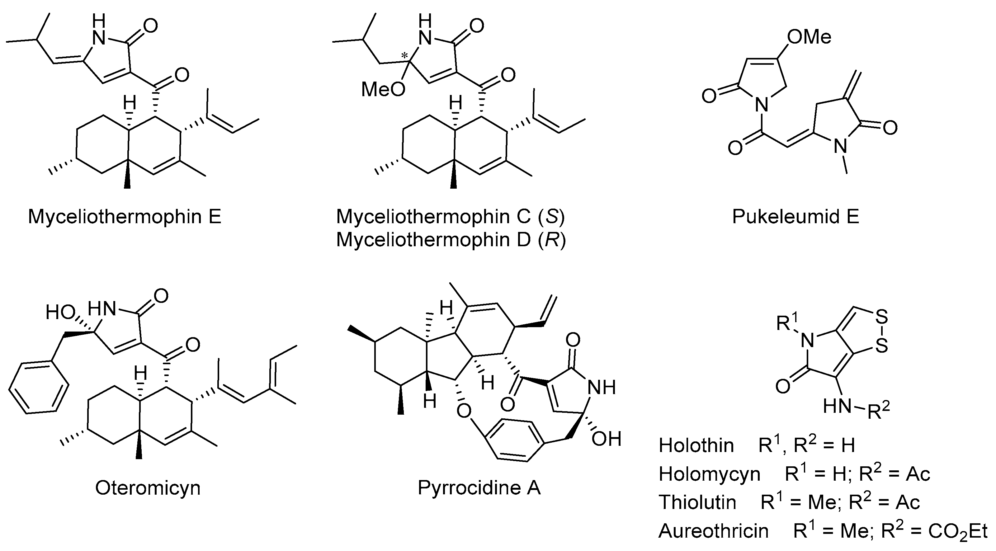 Molecules 27 03624 g001