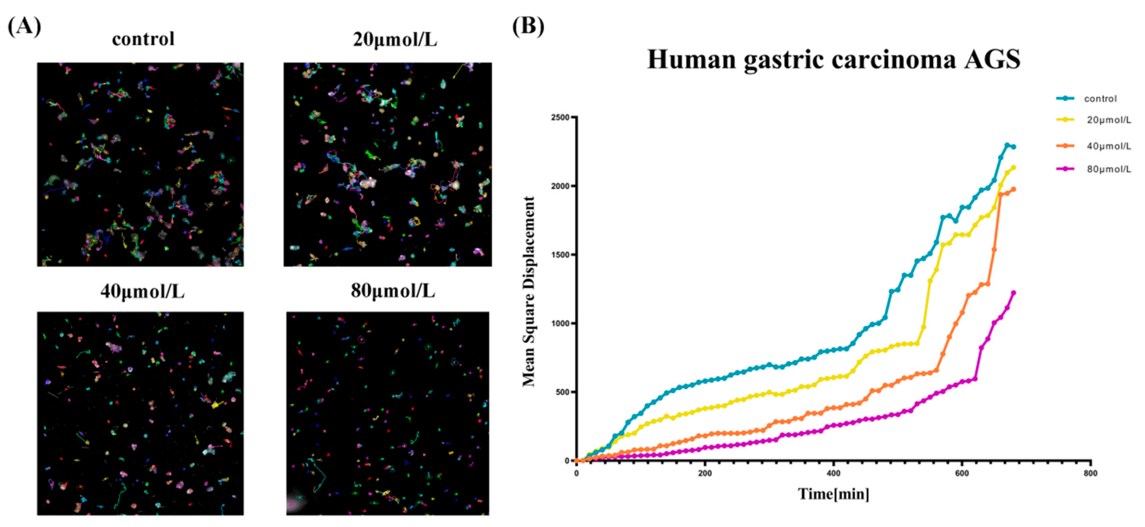 Molecules 27 03629 g005 550