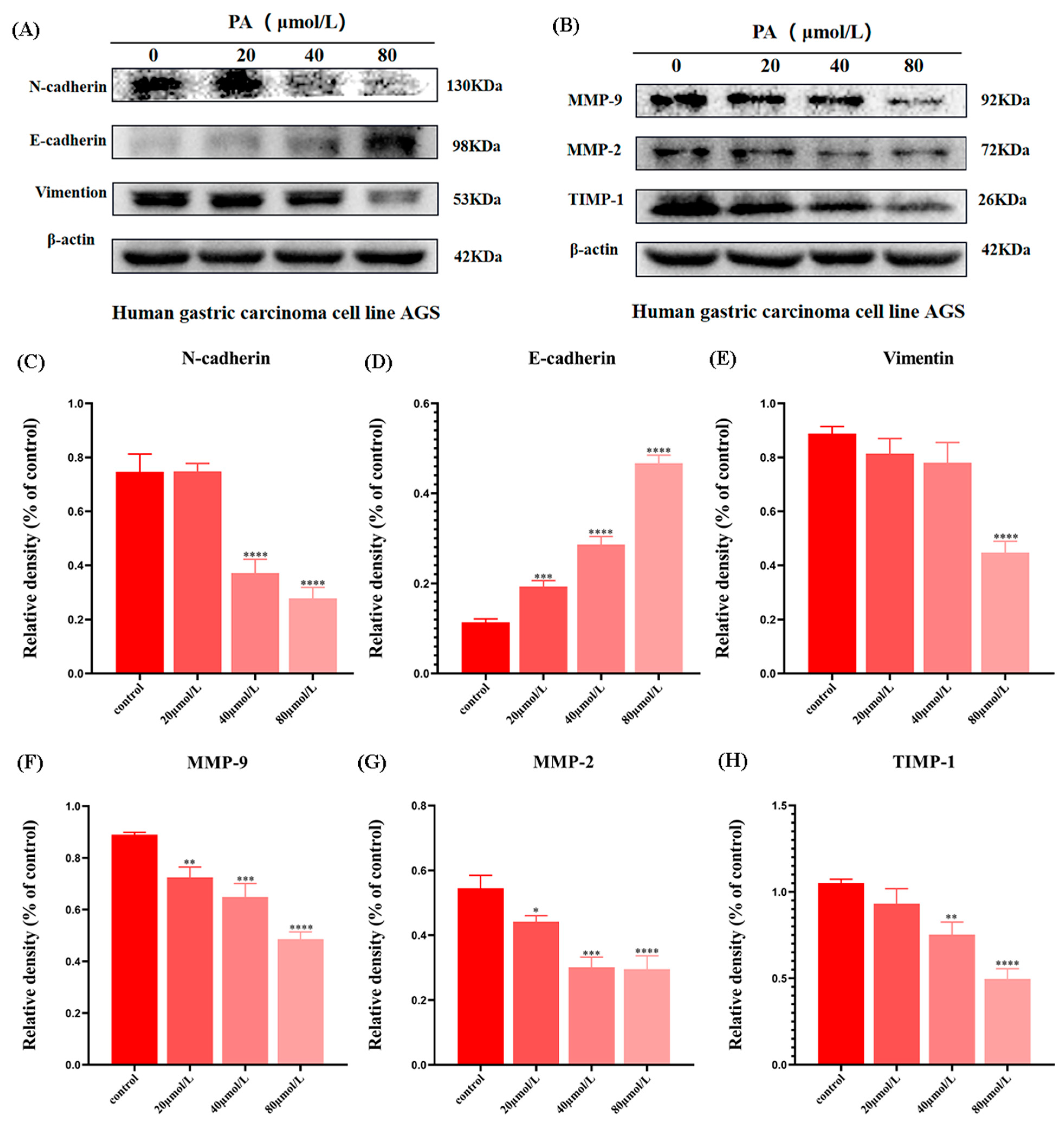 Molecules 27 03629 g007 550