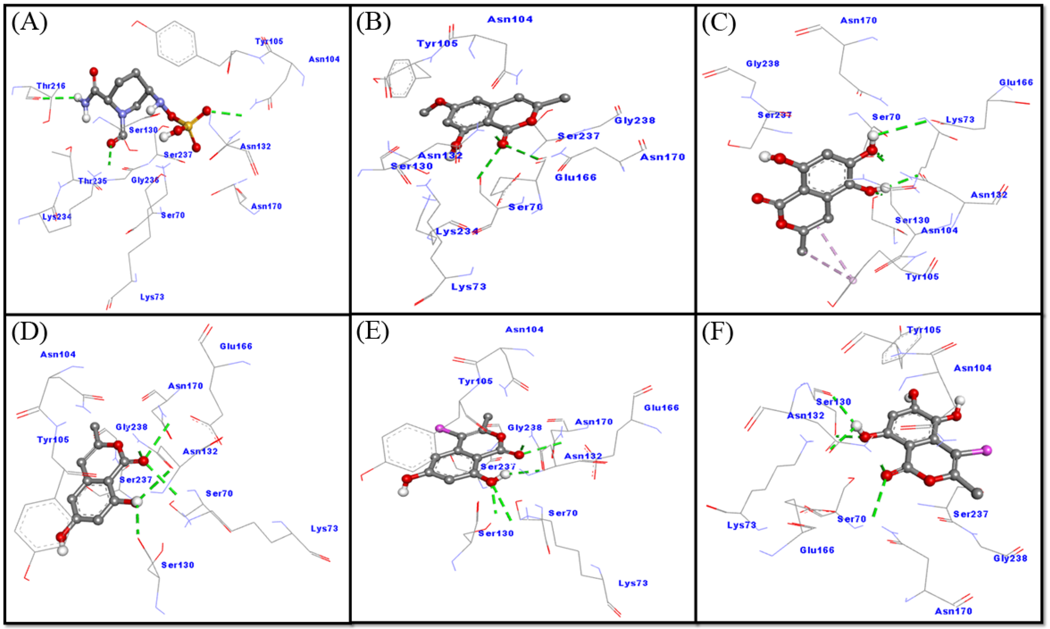 Molecules 27 03630 g004