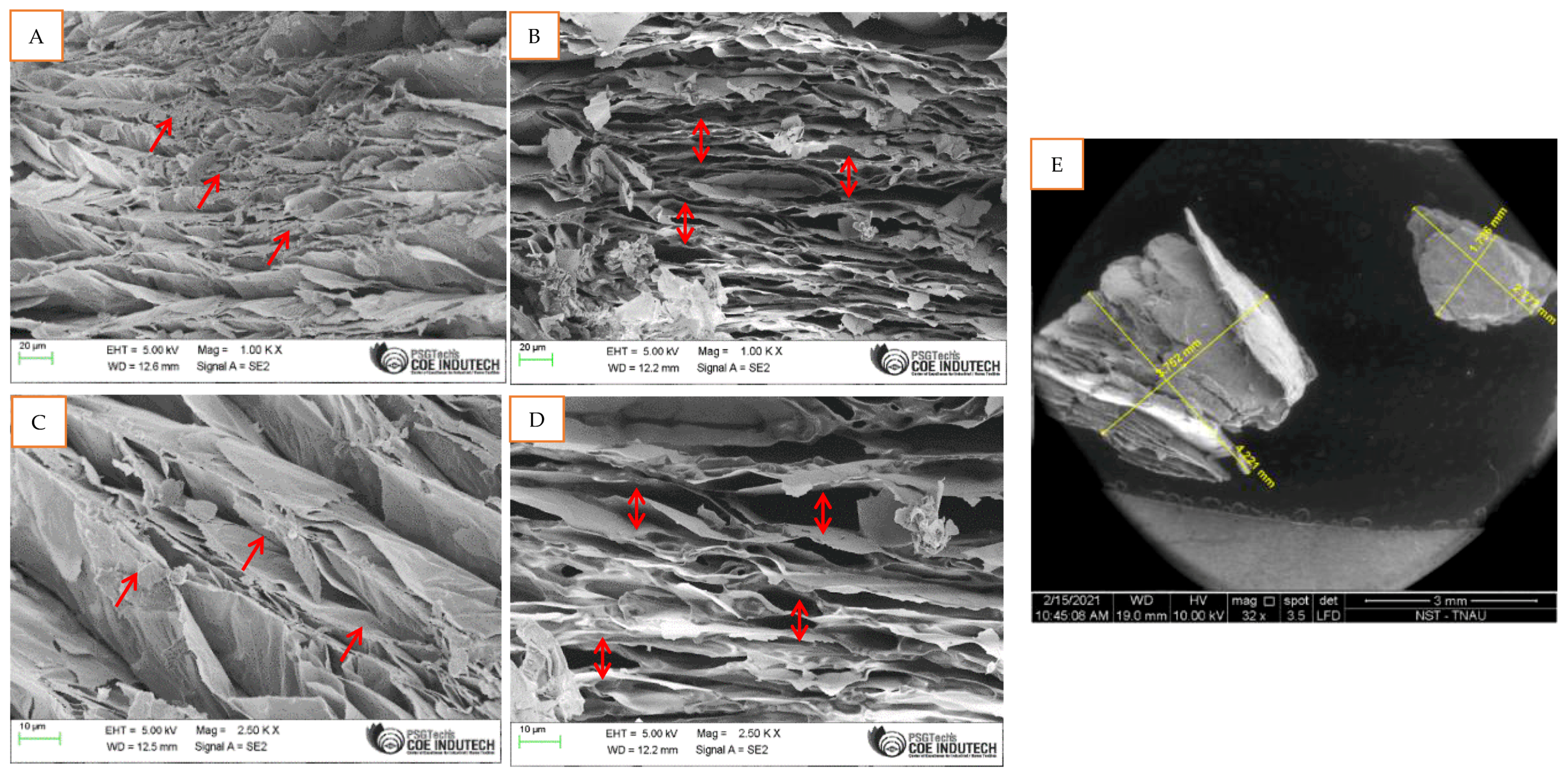 Molecules 27 03631 g005 550