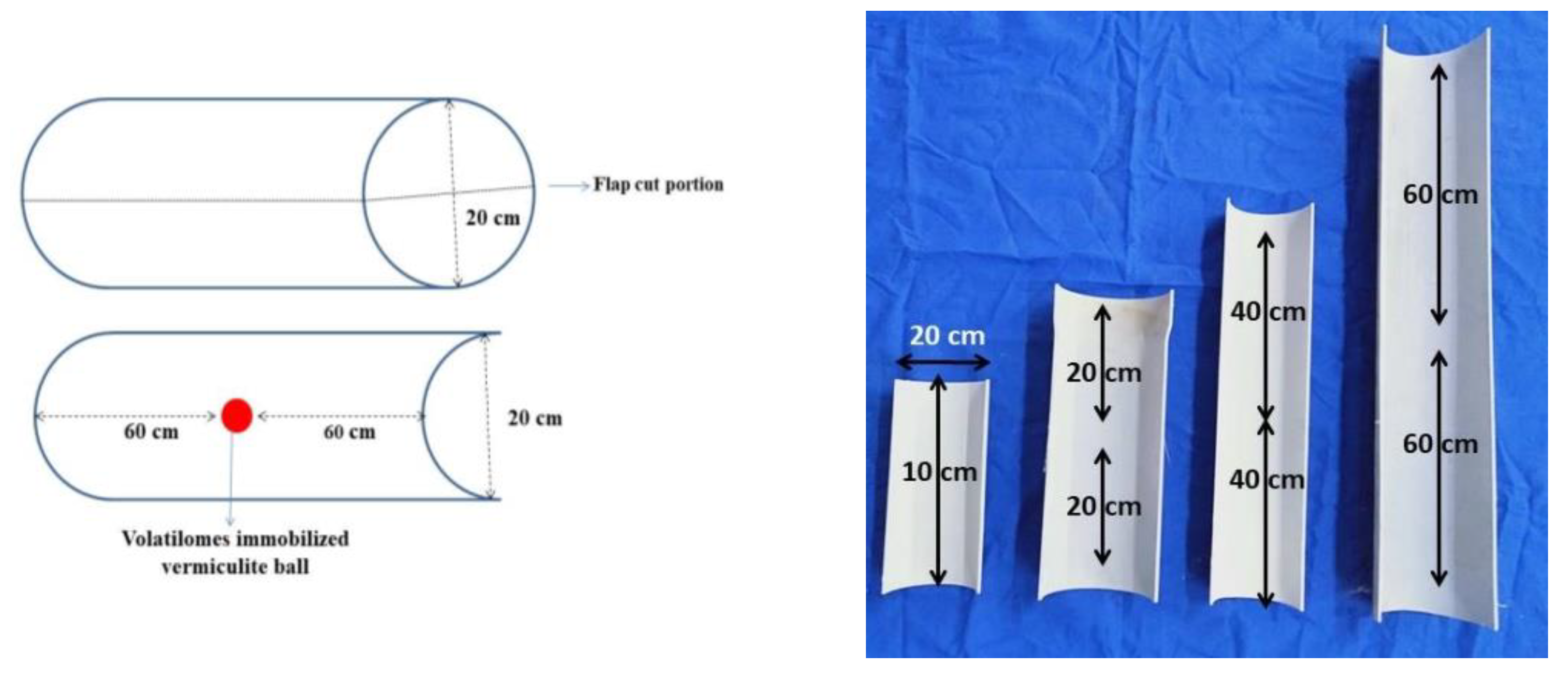 Molecules 27 03631 g009 550