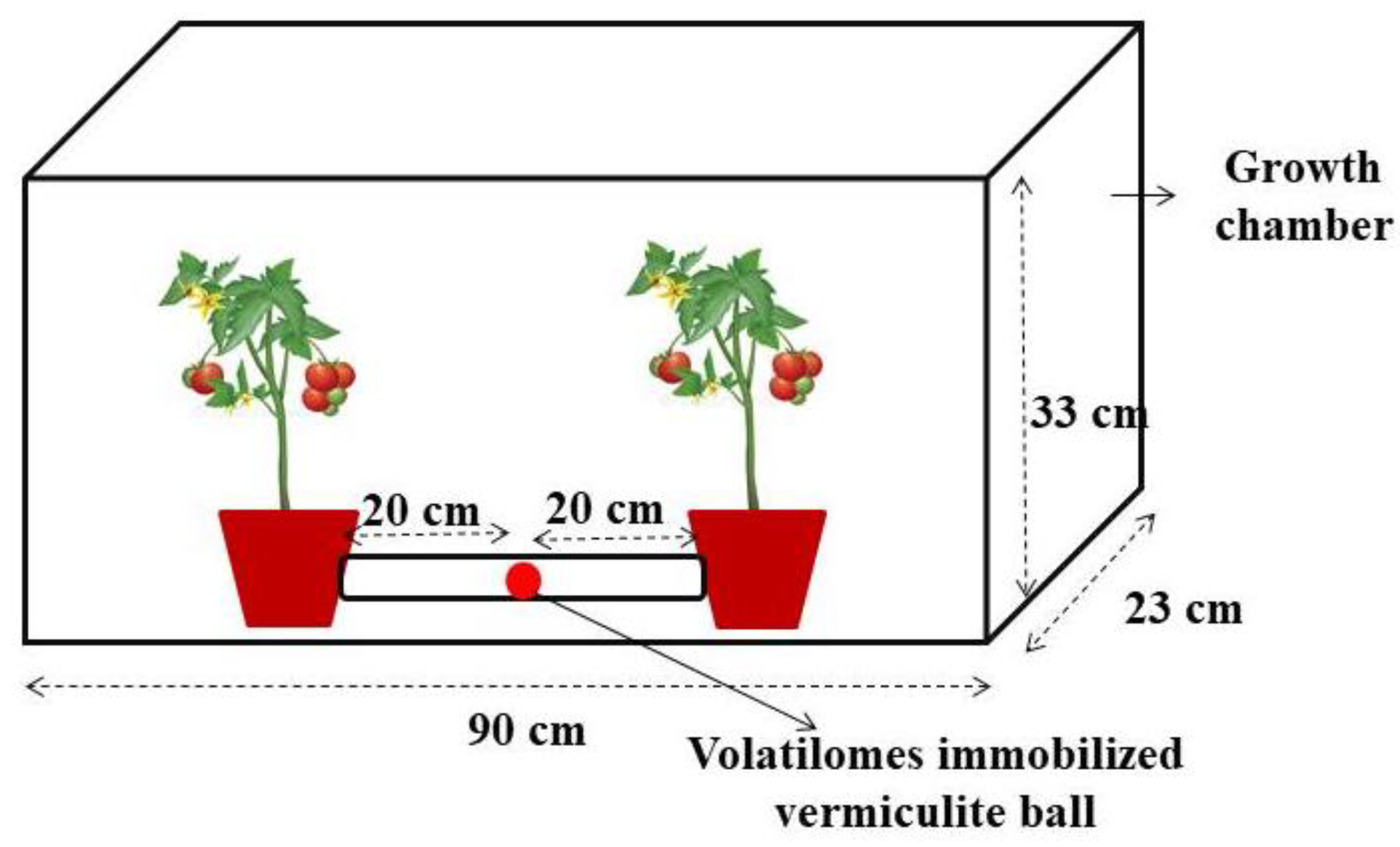 Molecules 27 03631 g010 550