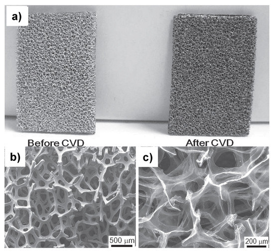Molecules | Free Full-Text | 3D Graphene Foam by Chemical Vapor 