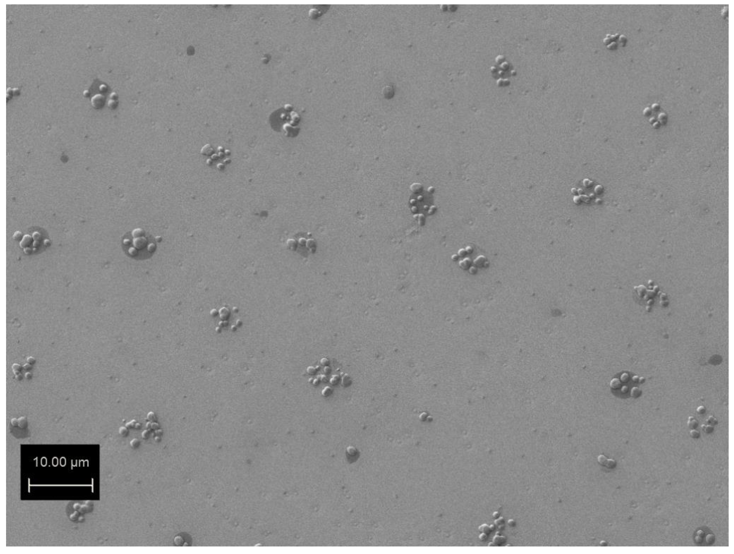 Molecules 27 03636 g001