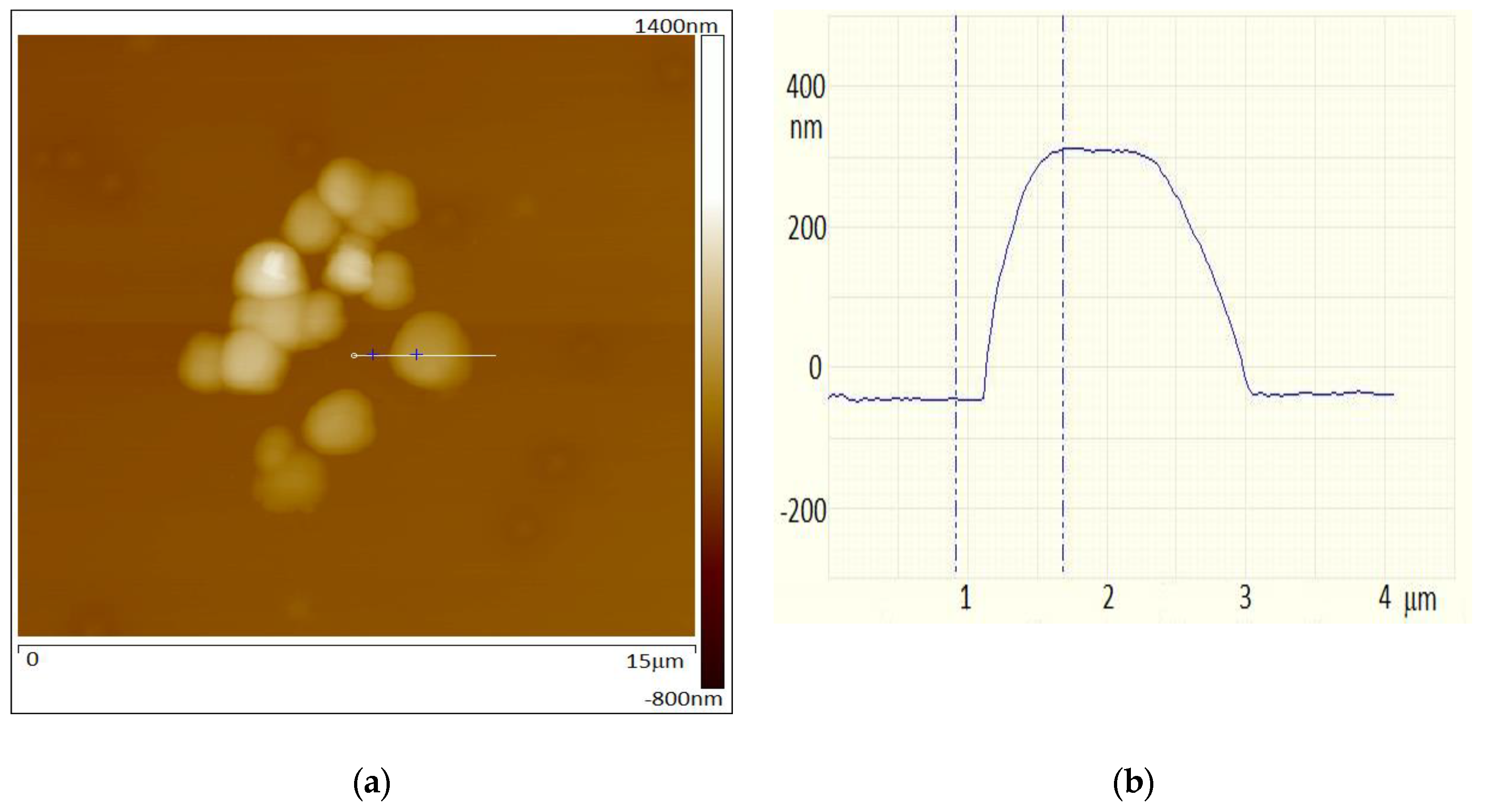 Molecules 27 03636 g002