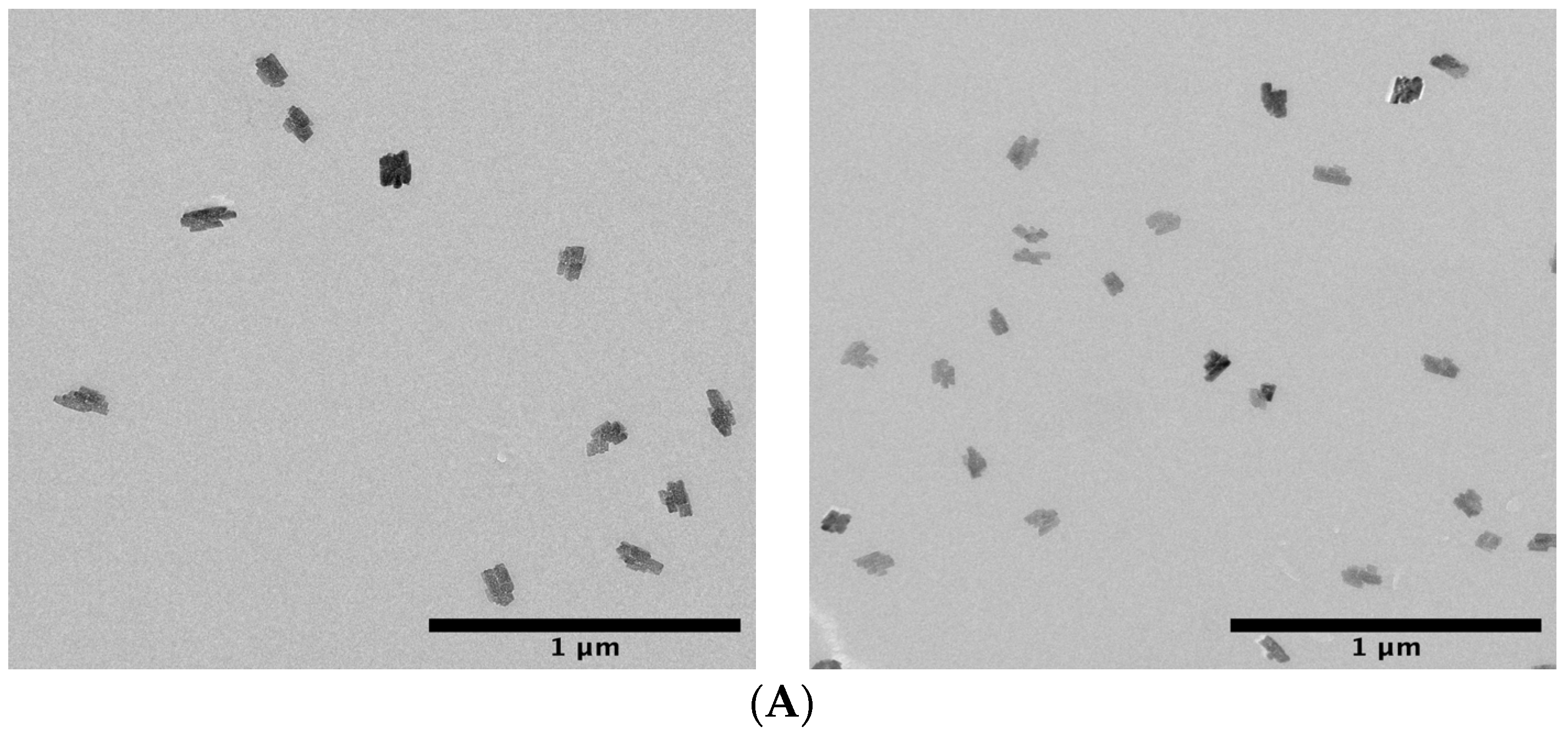 Molecules 27 03640 g010a Molecules 27 03640 g010a