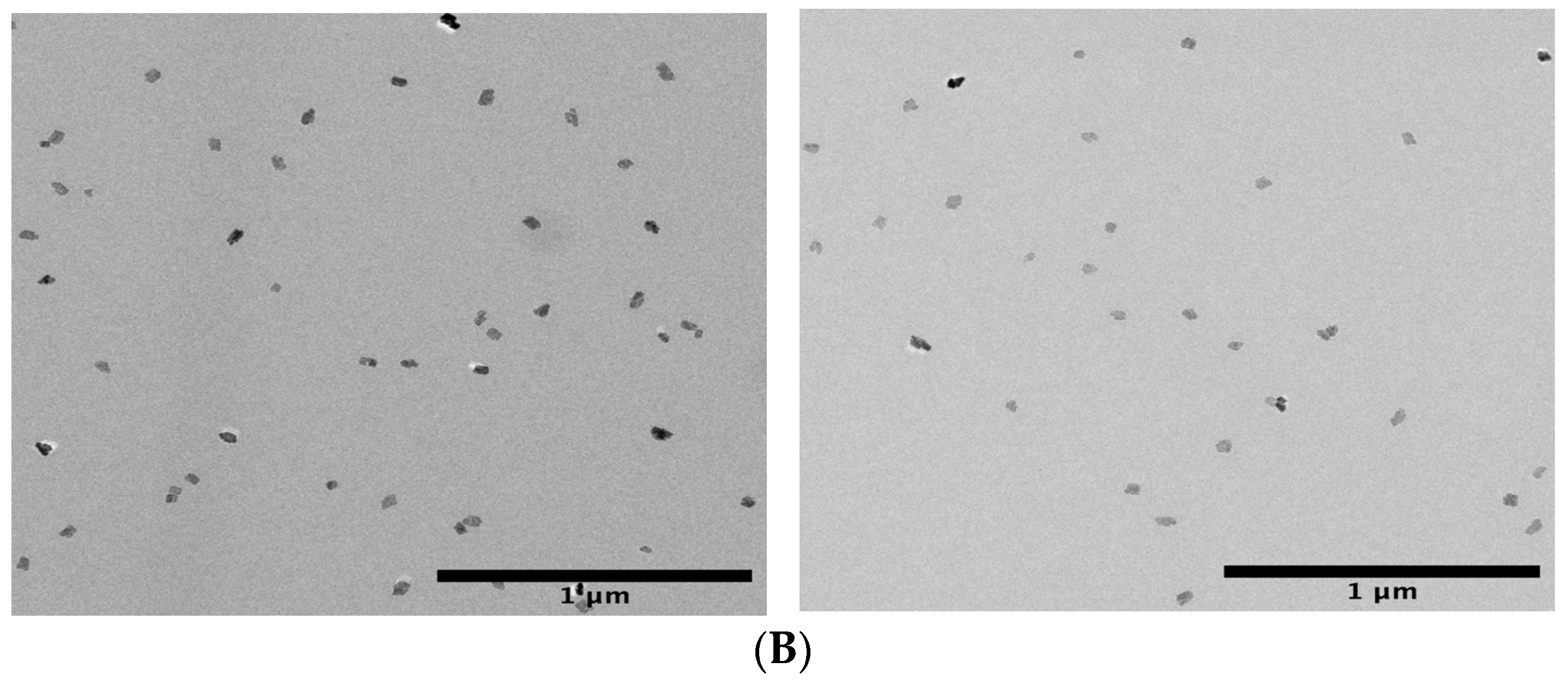 Molecules 27 03640 g010b Molecules 27 03640 g010b