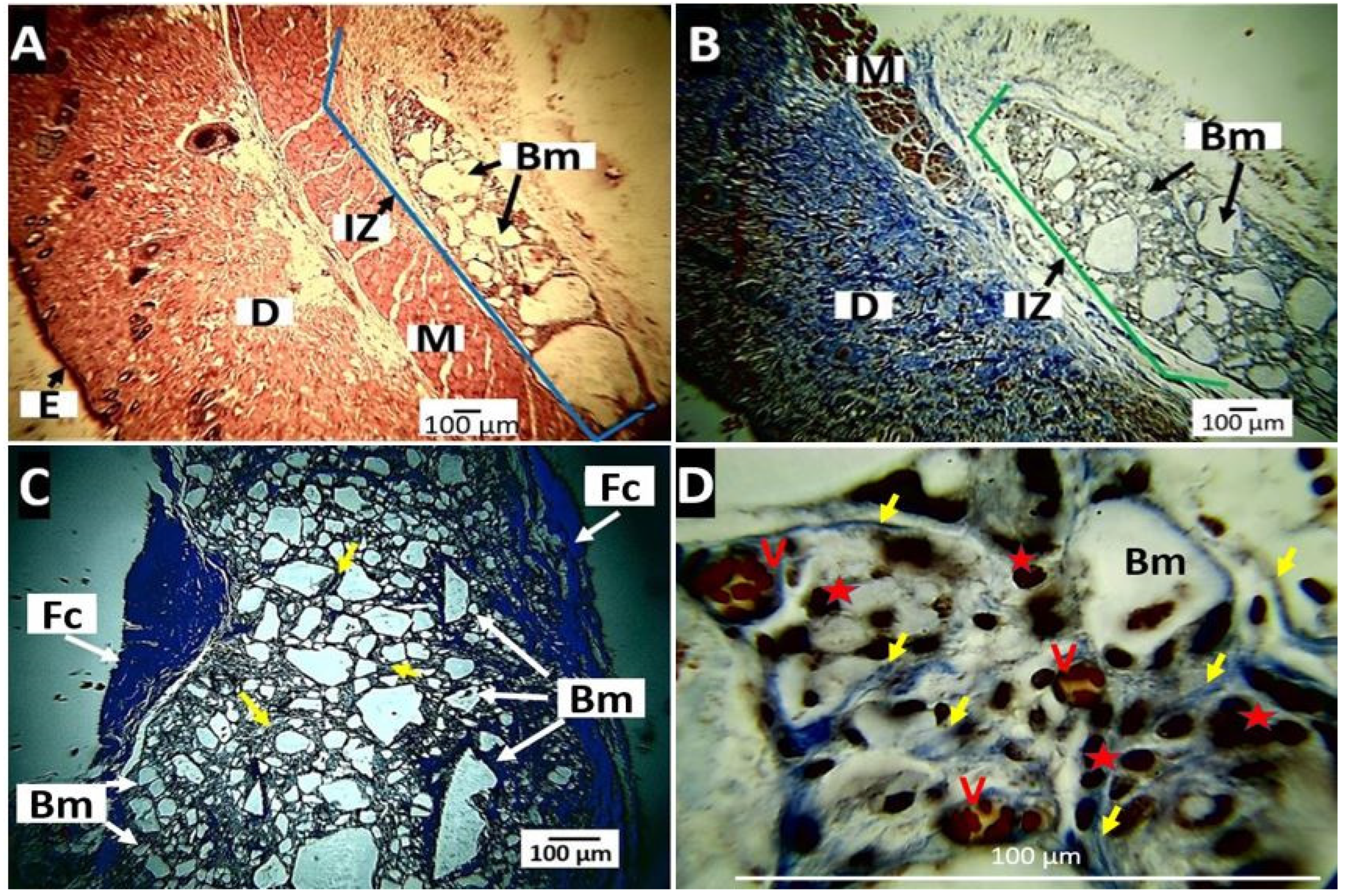 Molecules 27 03640 g013 Molecules 27 03640 g013