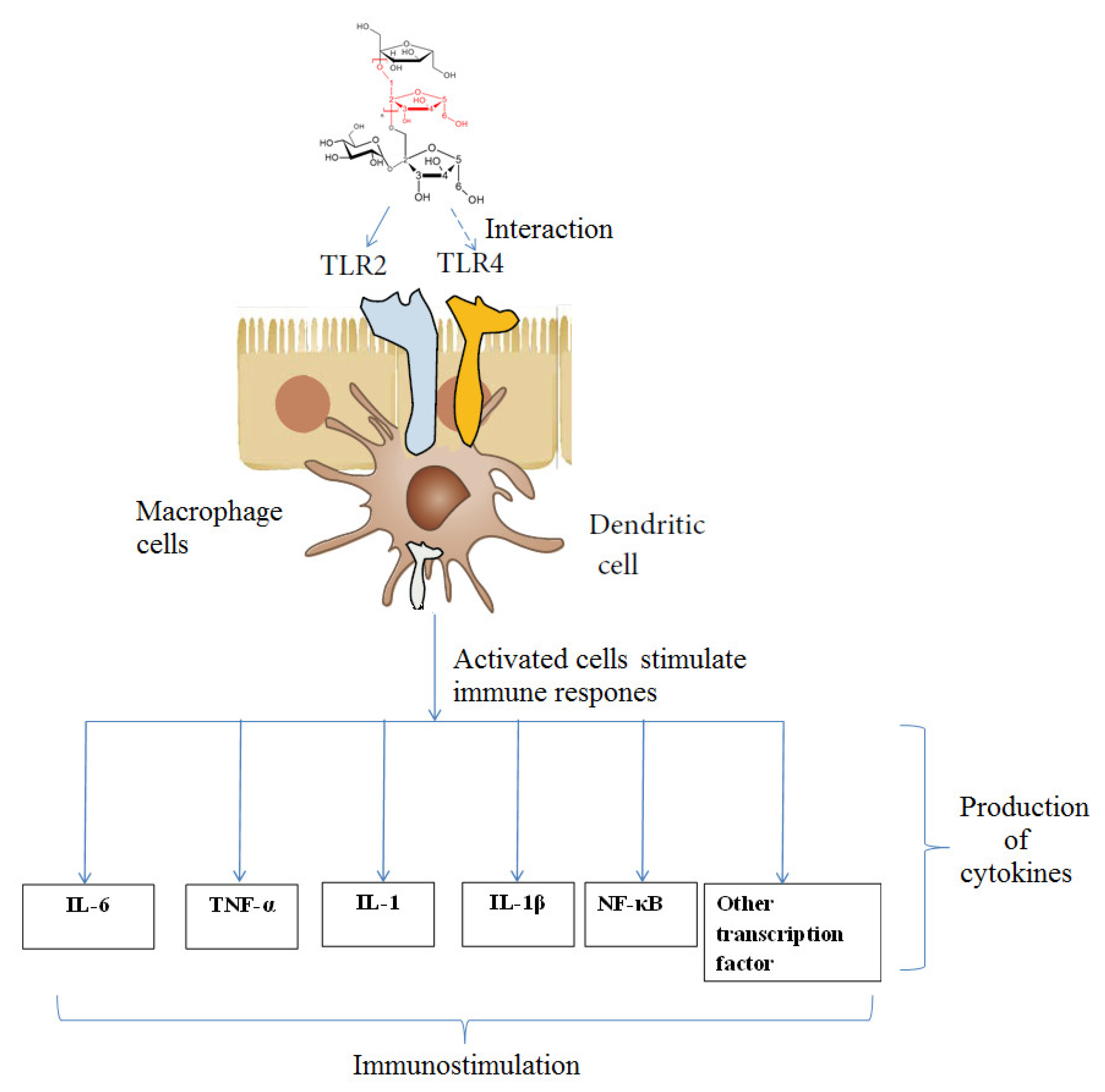 Molecules 27 03643 g007 550