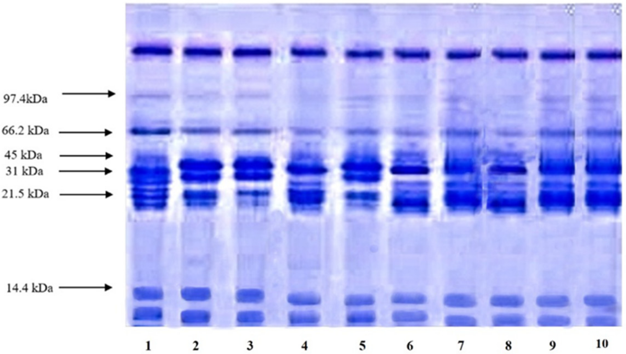 Molecules 27 03646 g005