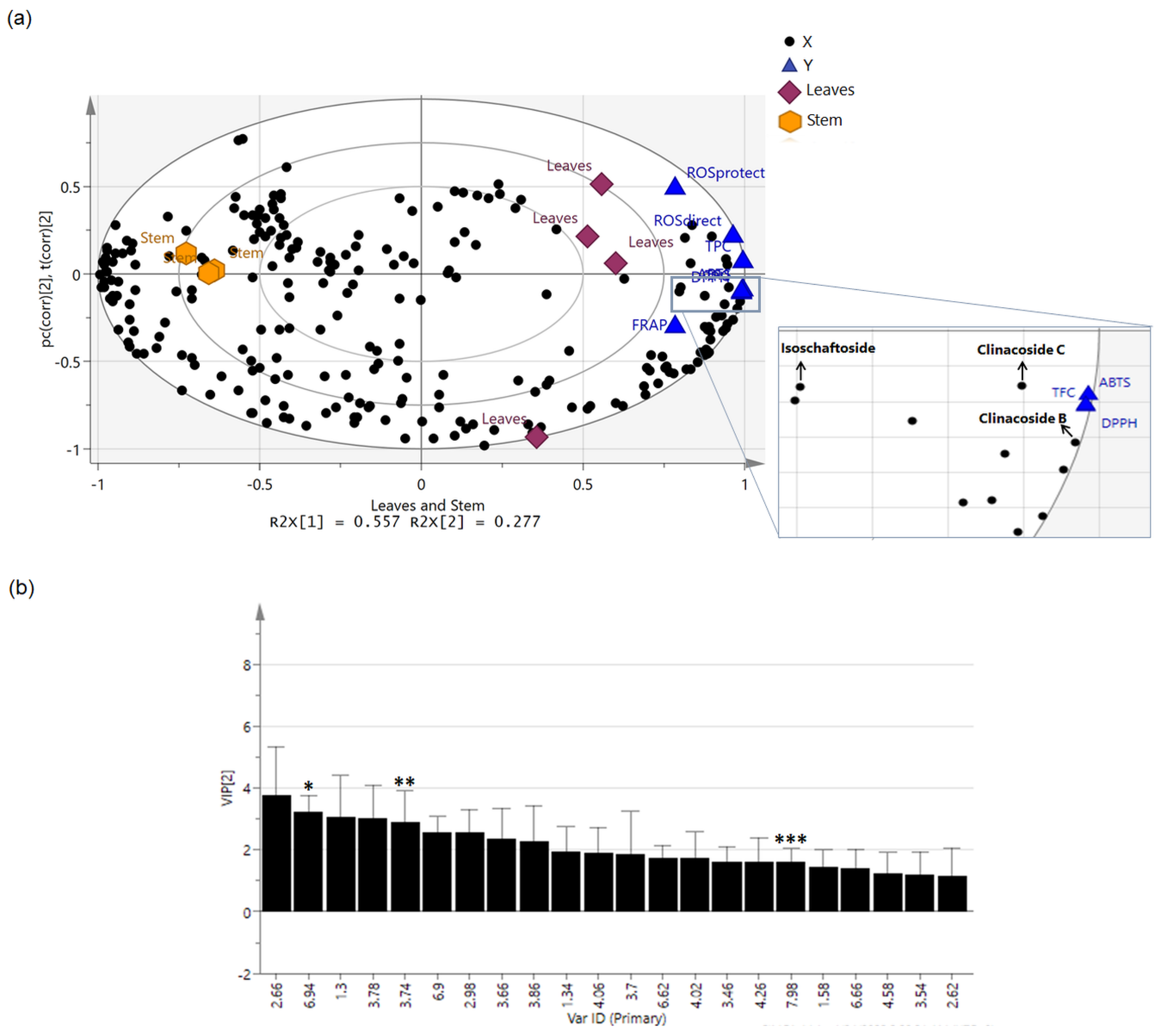 Molecules 27 03650 g007